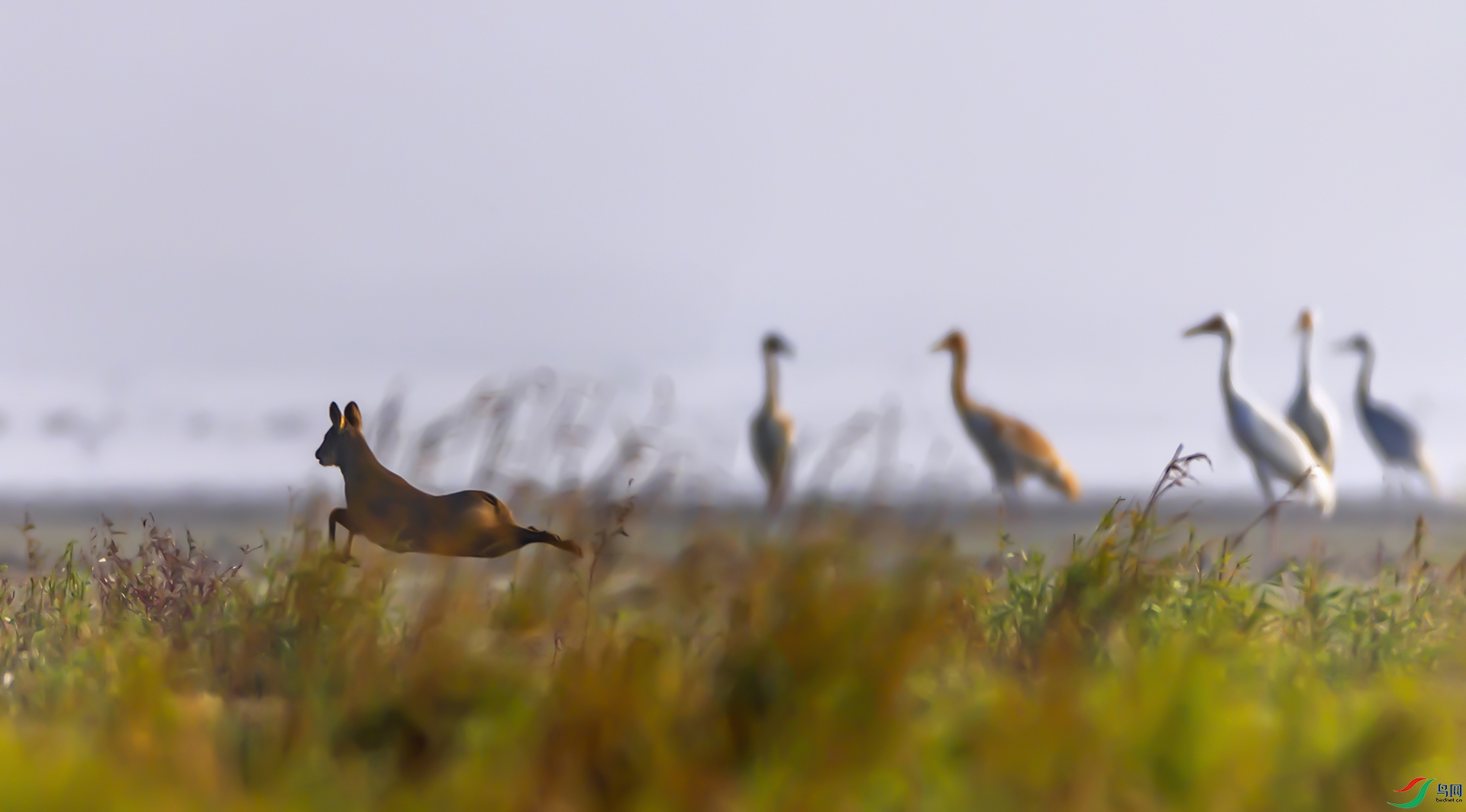 ��۶�������ӡ�����8�� ��ҵ���� 2022��11��26�ս���®ɽ��ɳ��ɽ۶������Ȼ������ ----22  .jpg