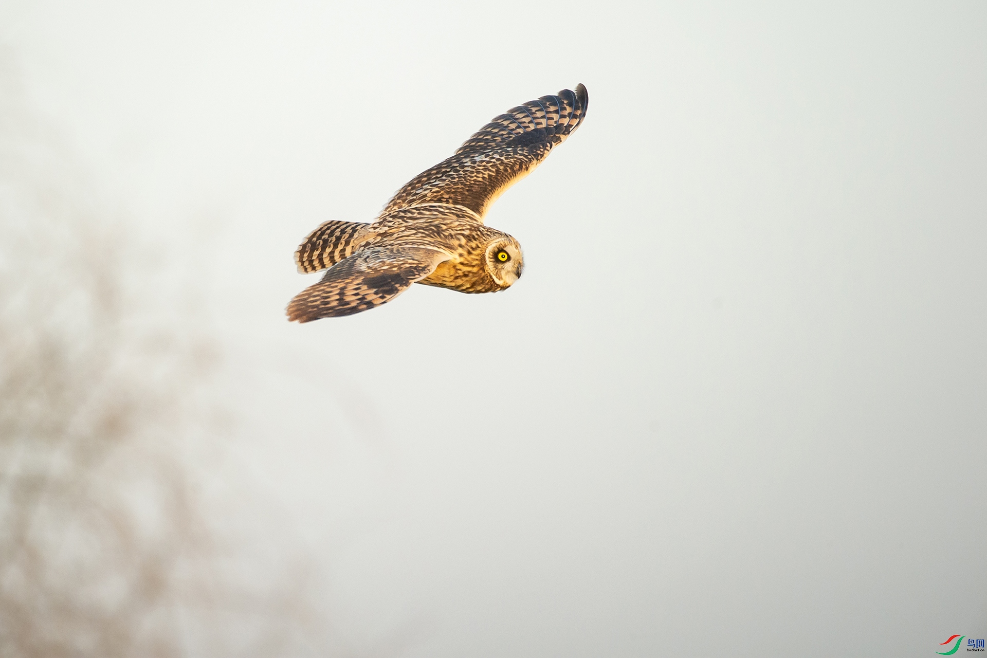 DSC_1134-20201222�ü�.jpg