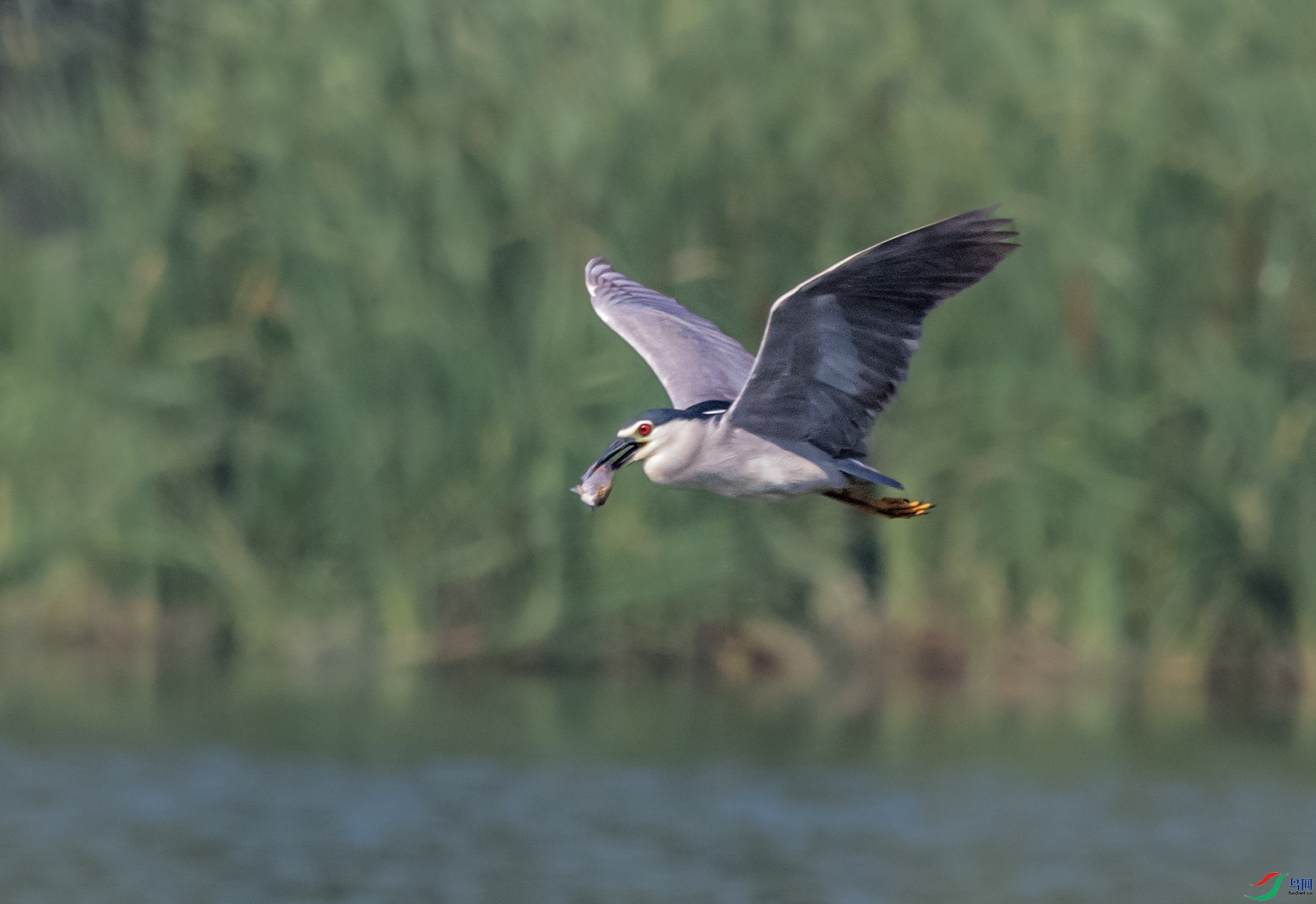 DSC_6571_��ͼ�� ����.jpg