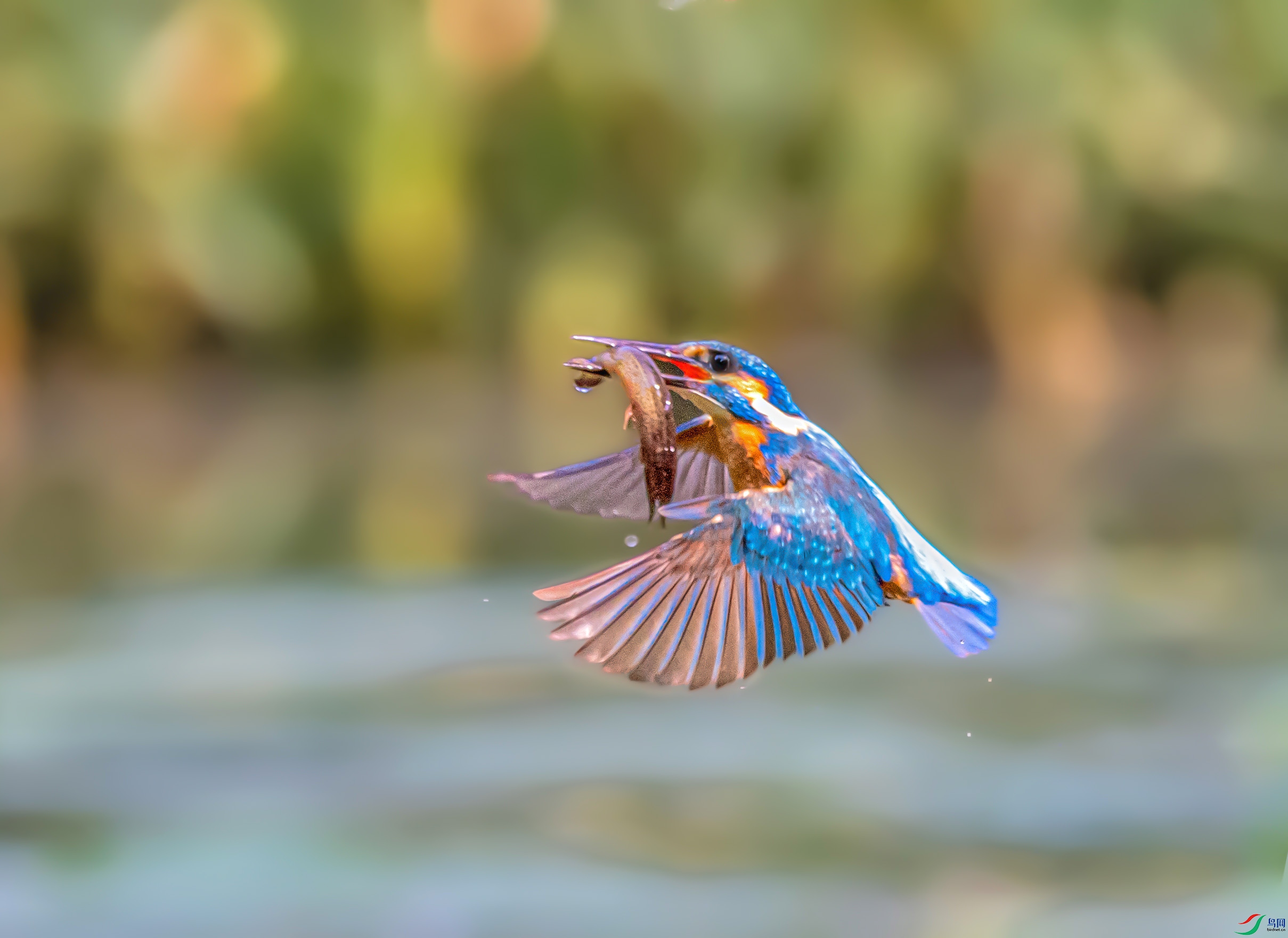 REC_9800 ���� 2.jpg