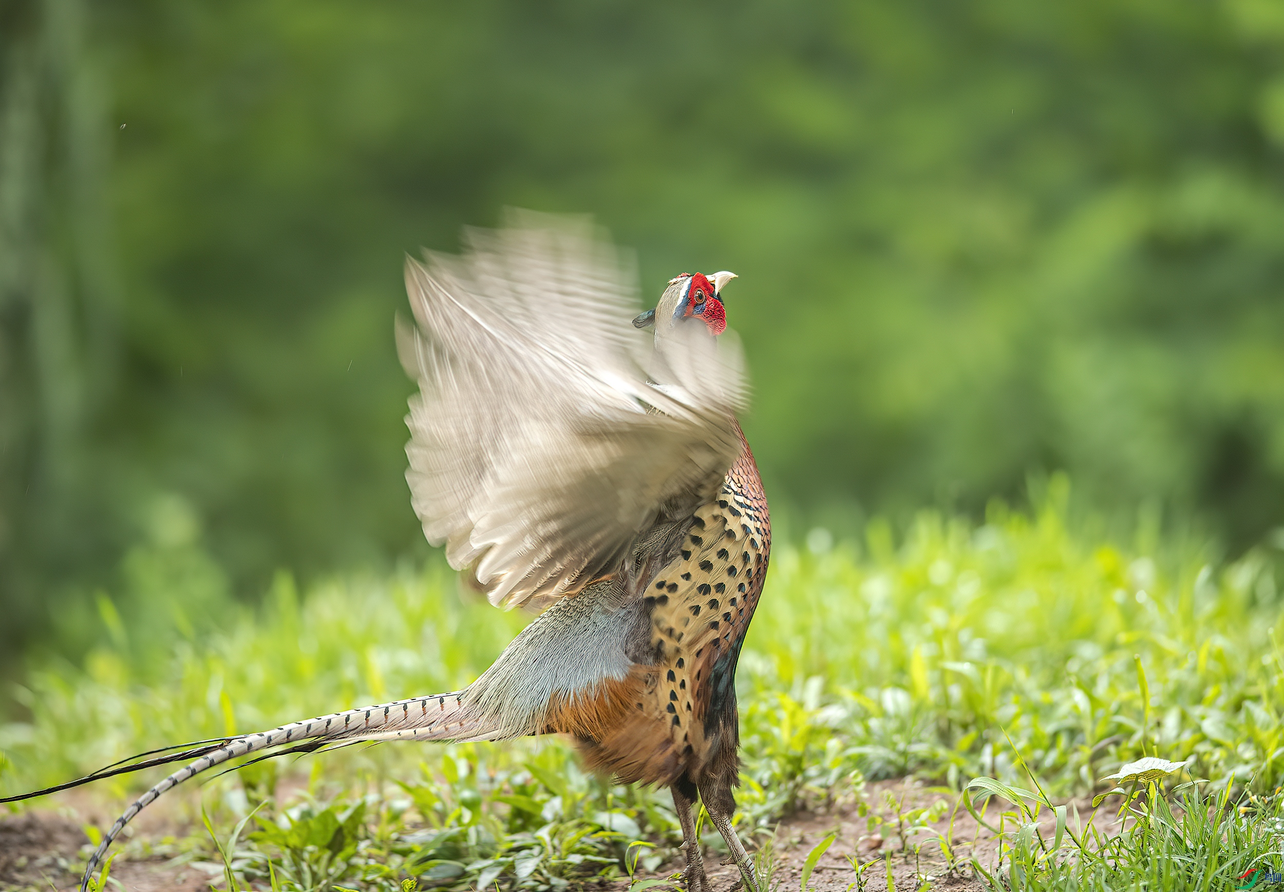 AC3I6172 ����.jpg