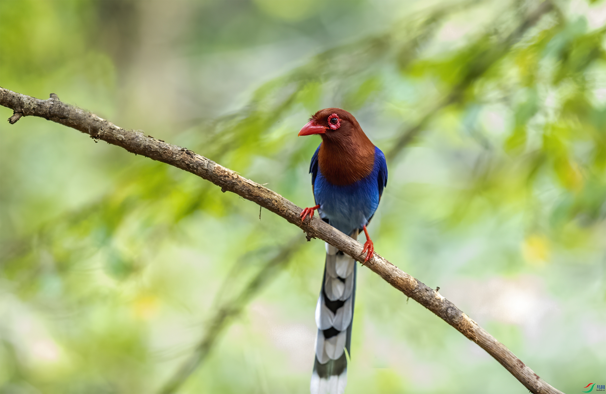 AC3I8202 ����.jpg