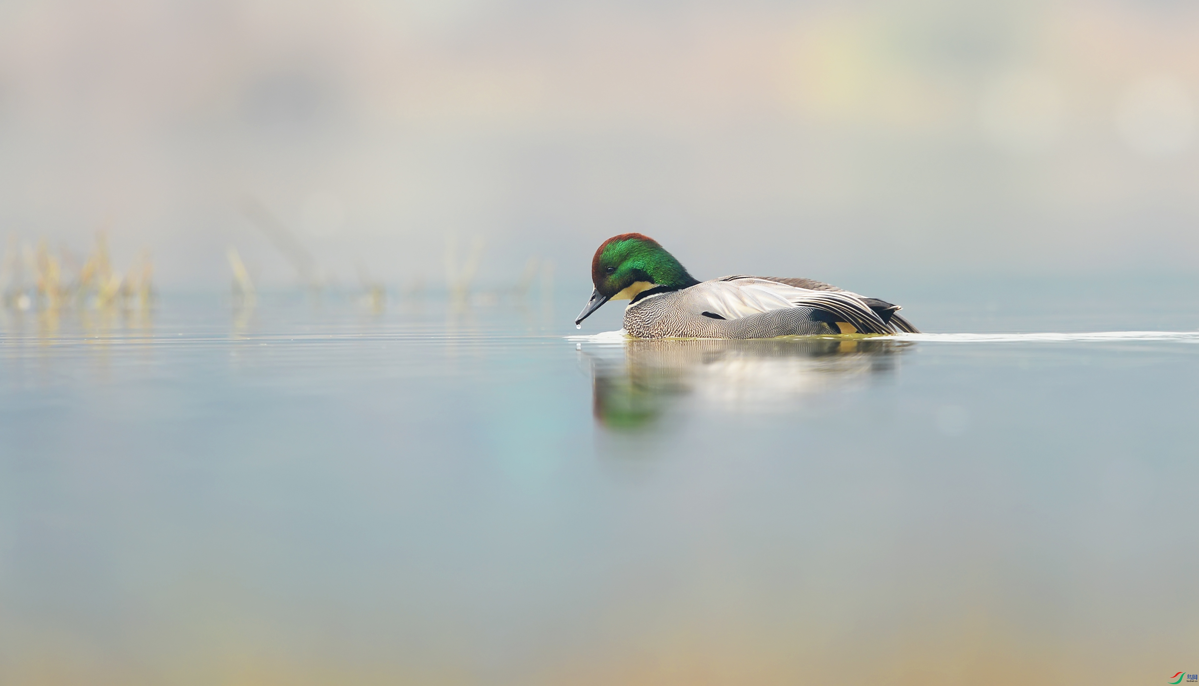 DSC_6461.jpg
