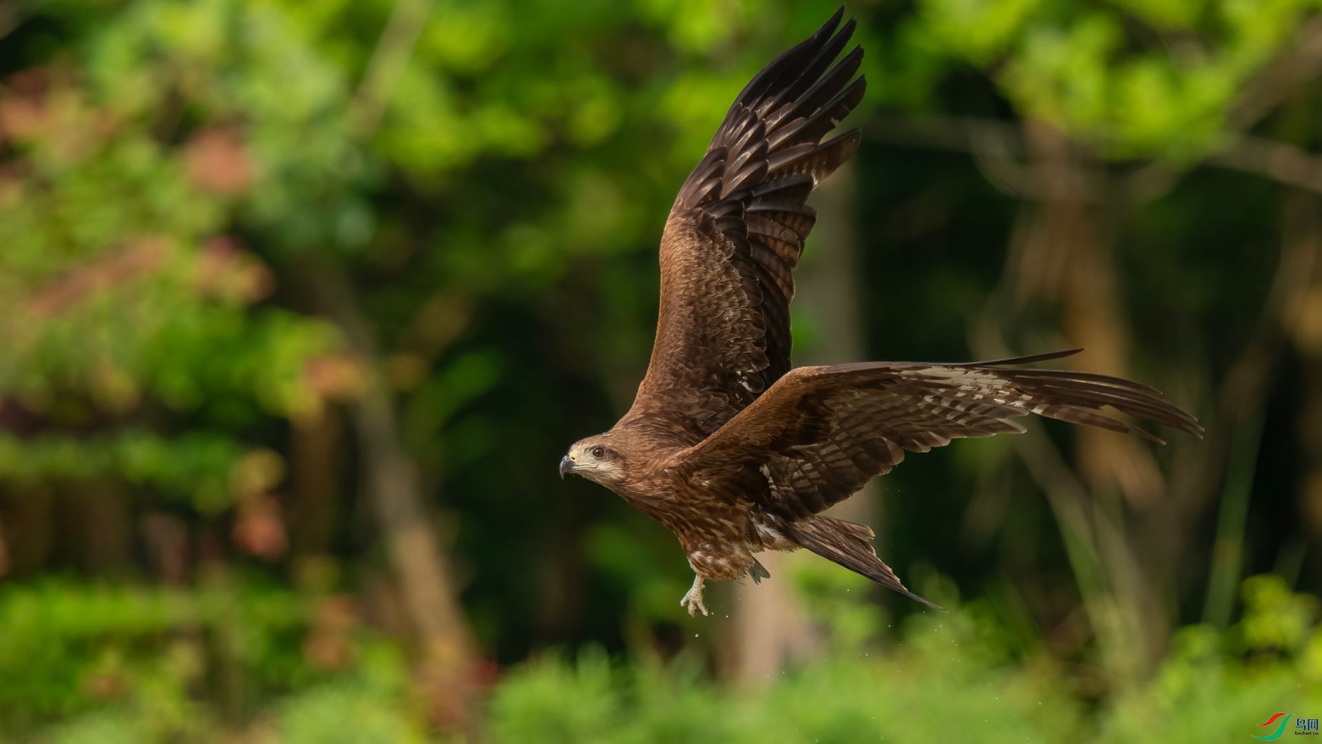 DSC06745 ����.jpg