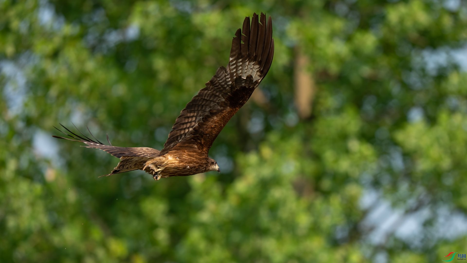 DSC06804 ����.jpg