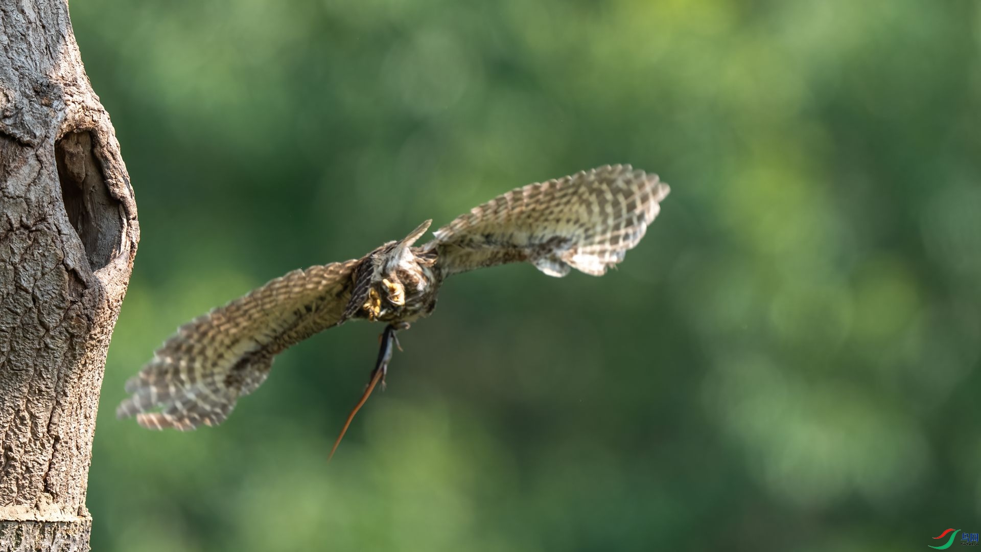 15��DSC08945 ����.jpg