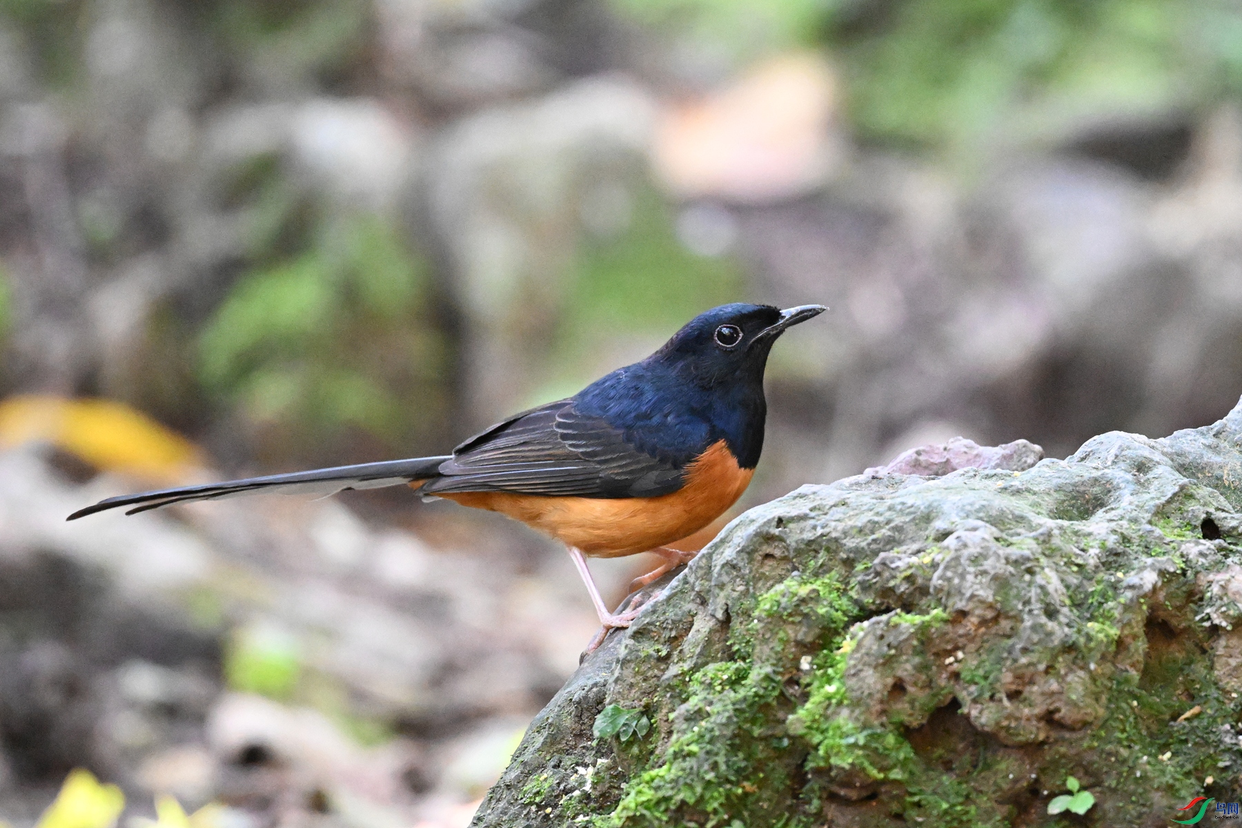 DSC_6396.JPG