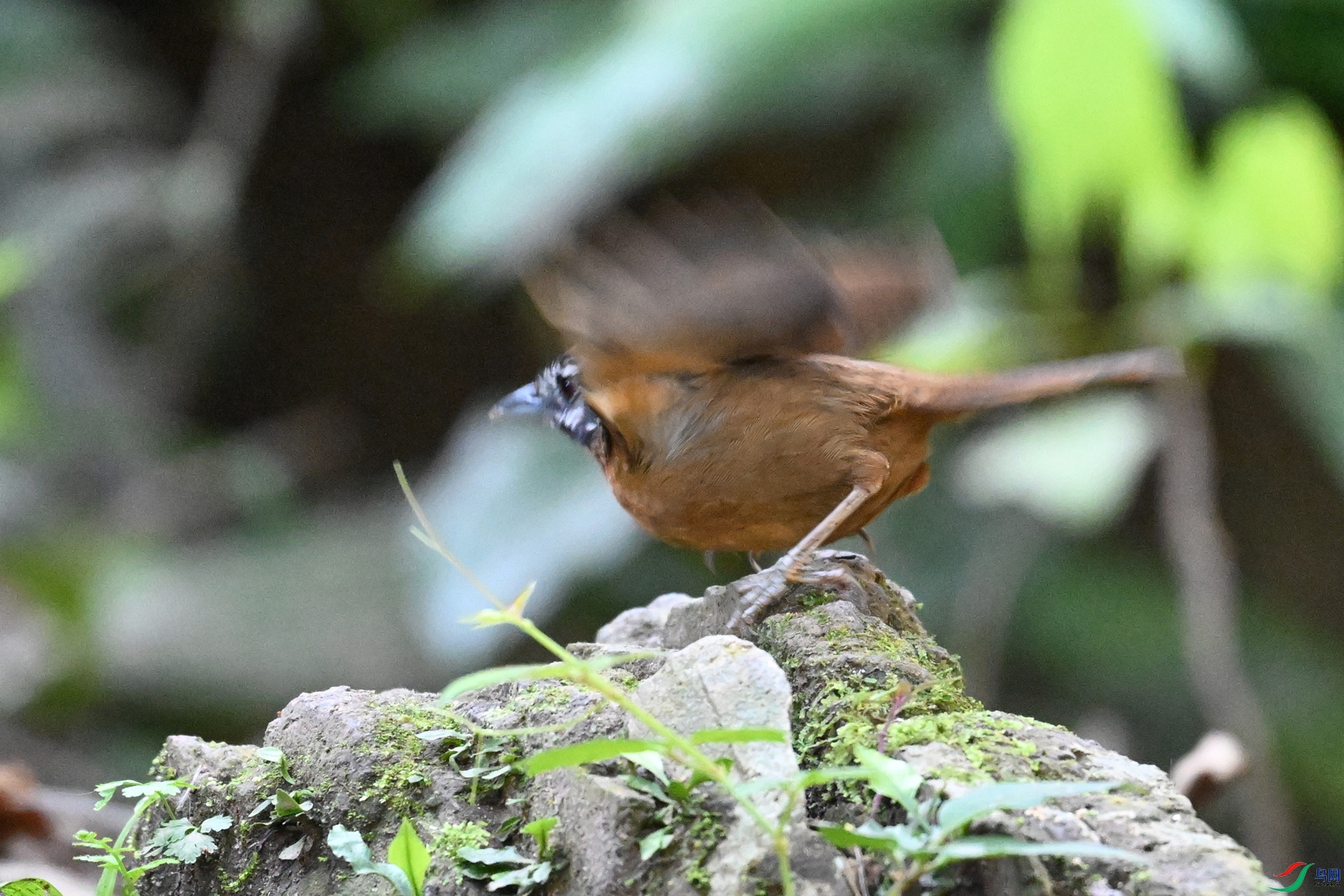 DSC_6438.JPG