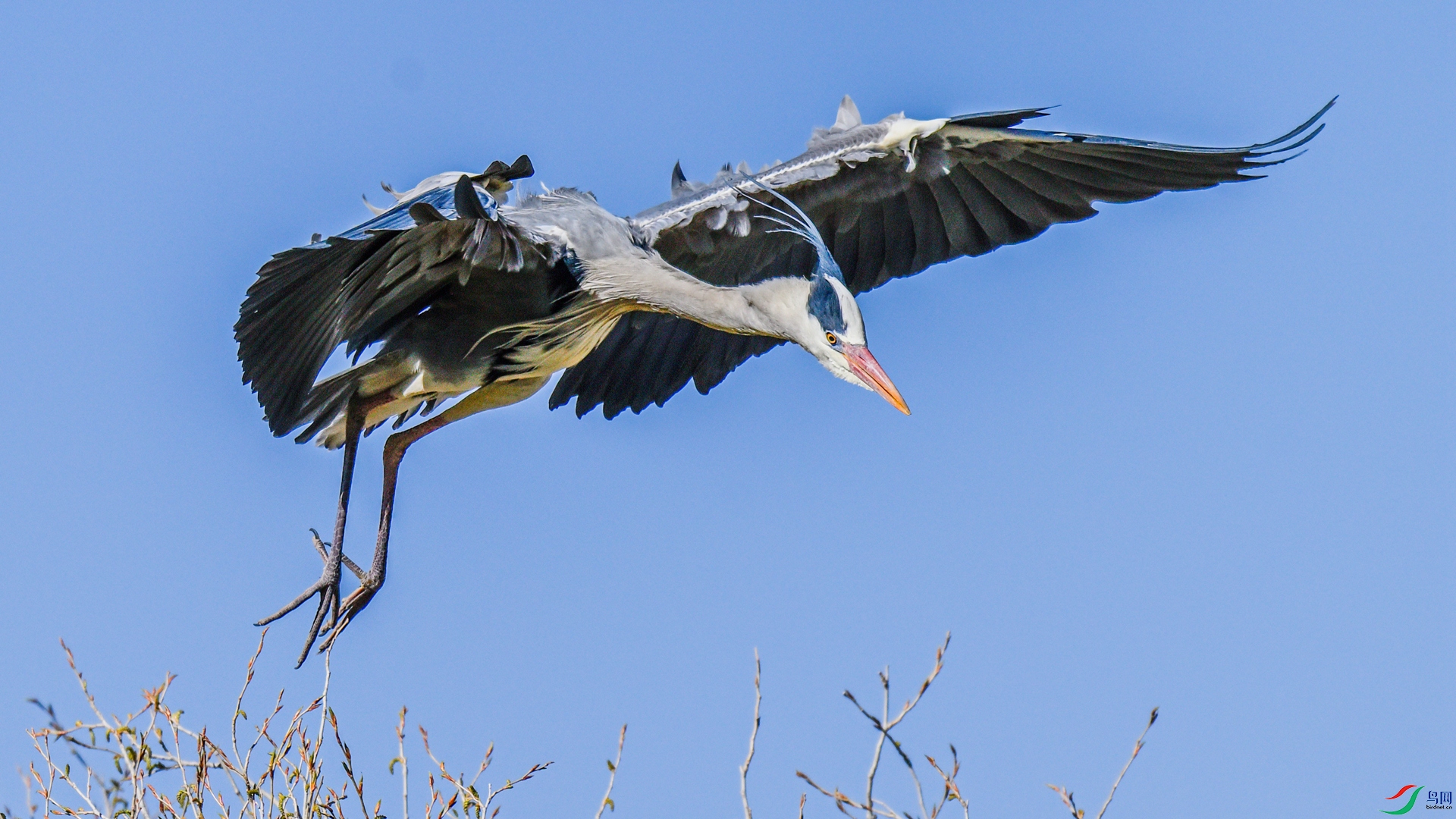 _DSC1283 ����_����.jpg