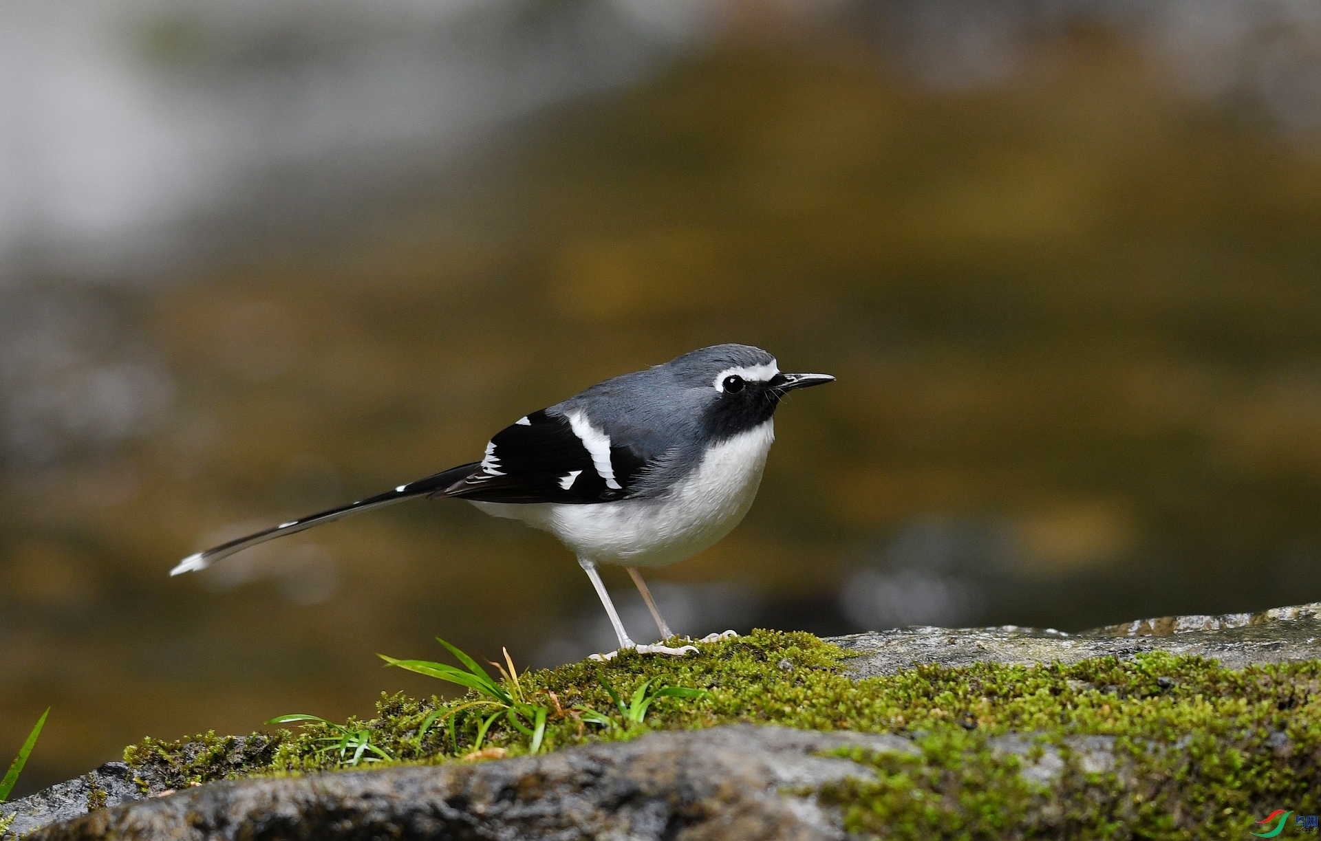 DSC_3827.jpg