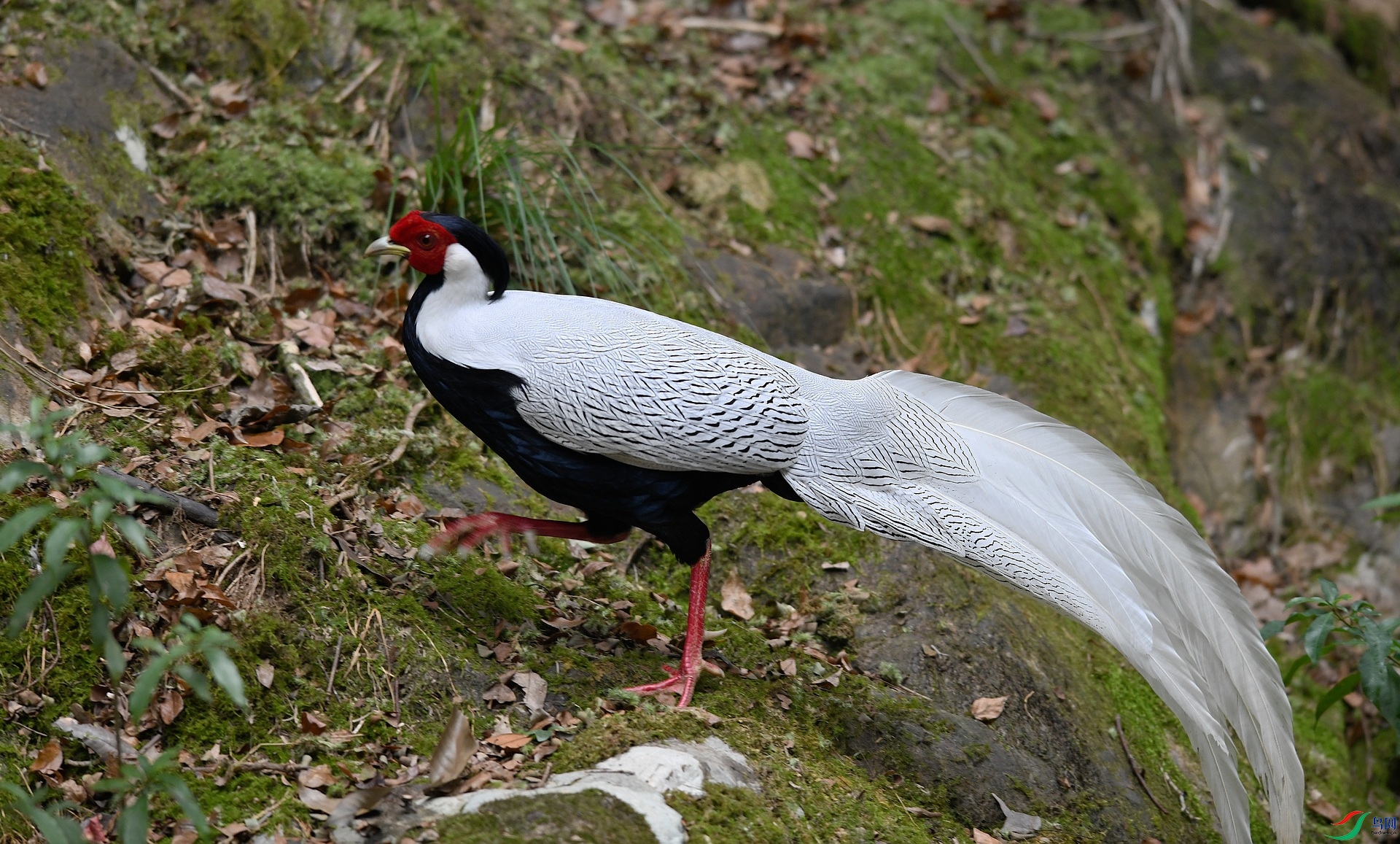 DSC_3512.jpg