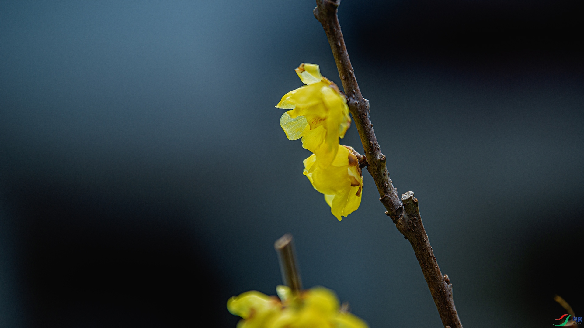 DSC_5670 ����.jpg