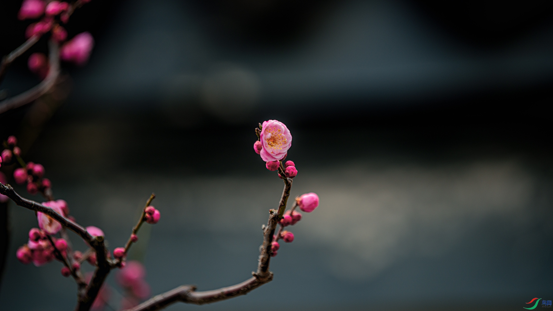 DSC_5657 ����.jpg