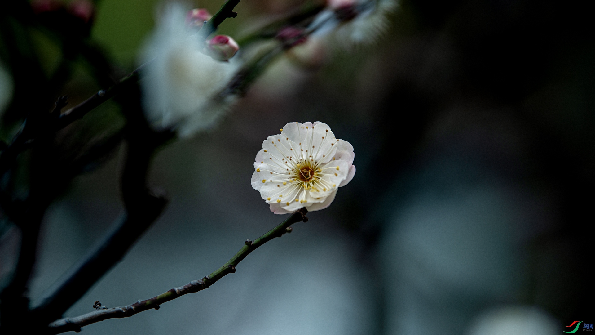 DSC_5658 ����.jpg