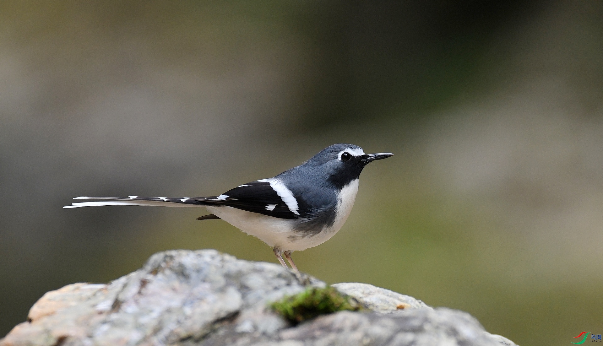 DSC_5189.jpg