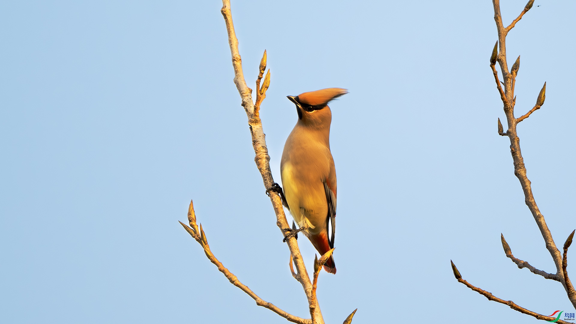 DSC_0233-����ǿ-NR ����.jpg