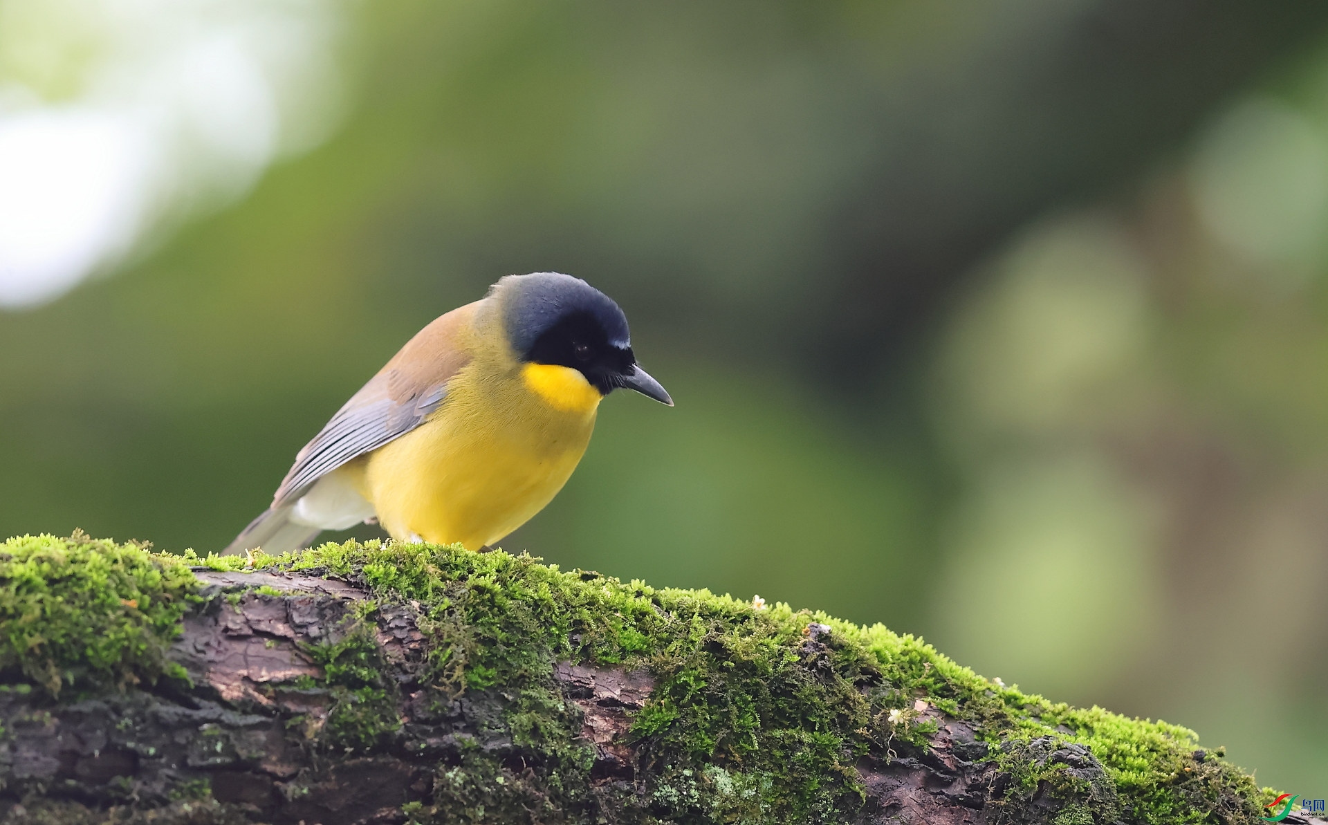 AC1I9937ɭ.JPG