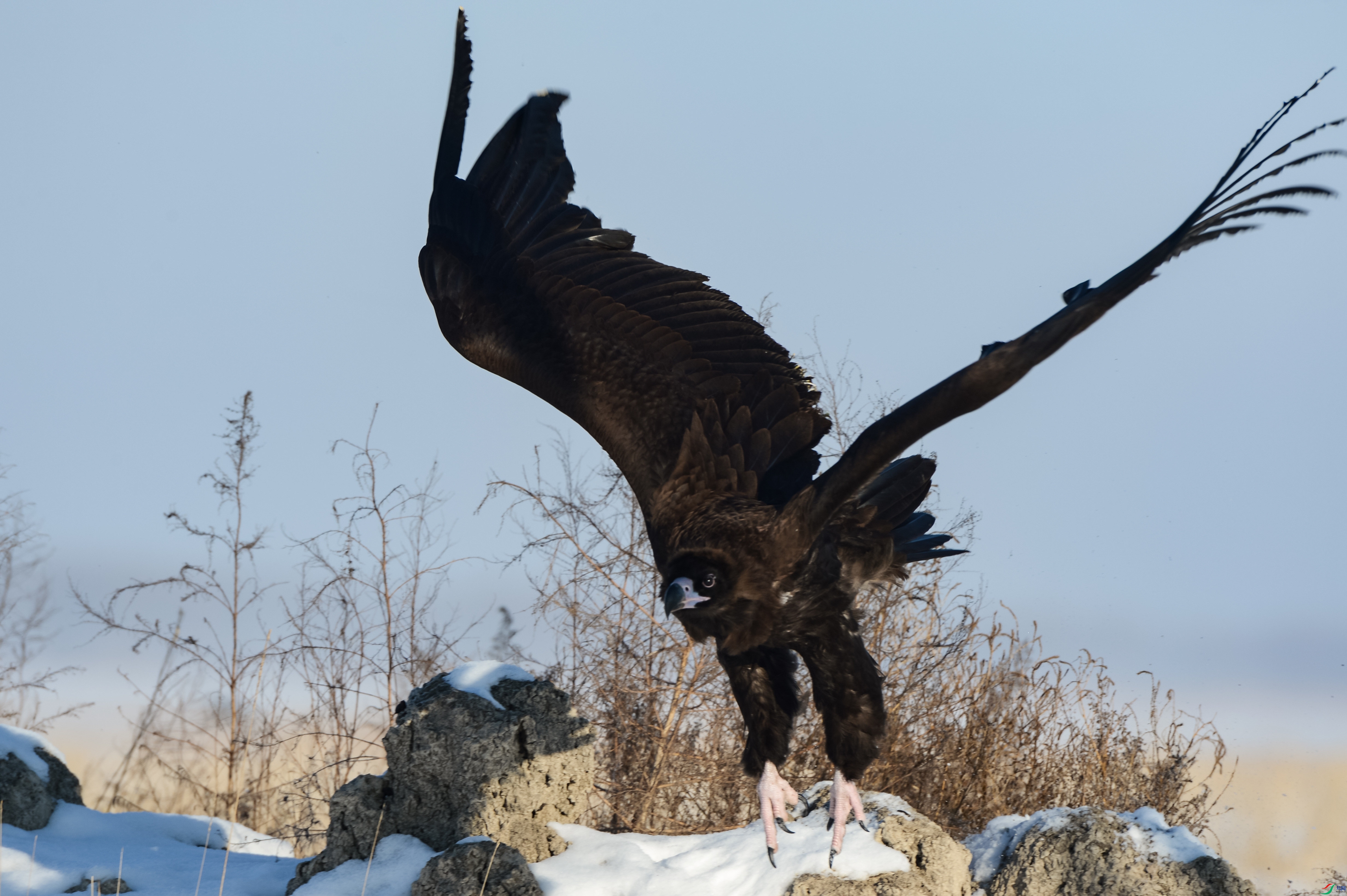 W01_1221 ����_����.jpg