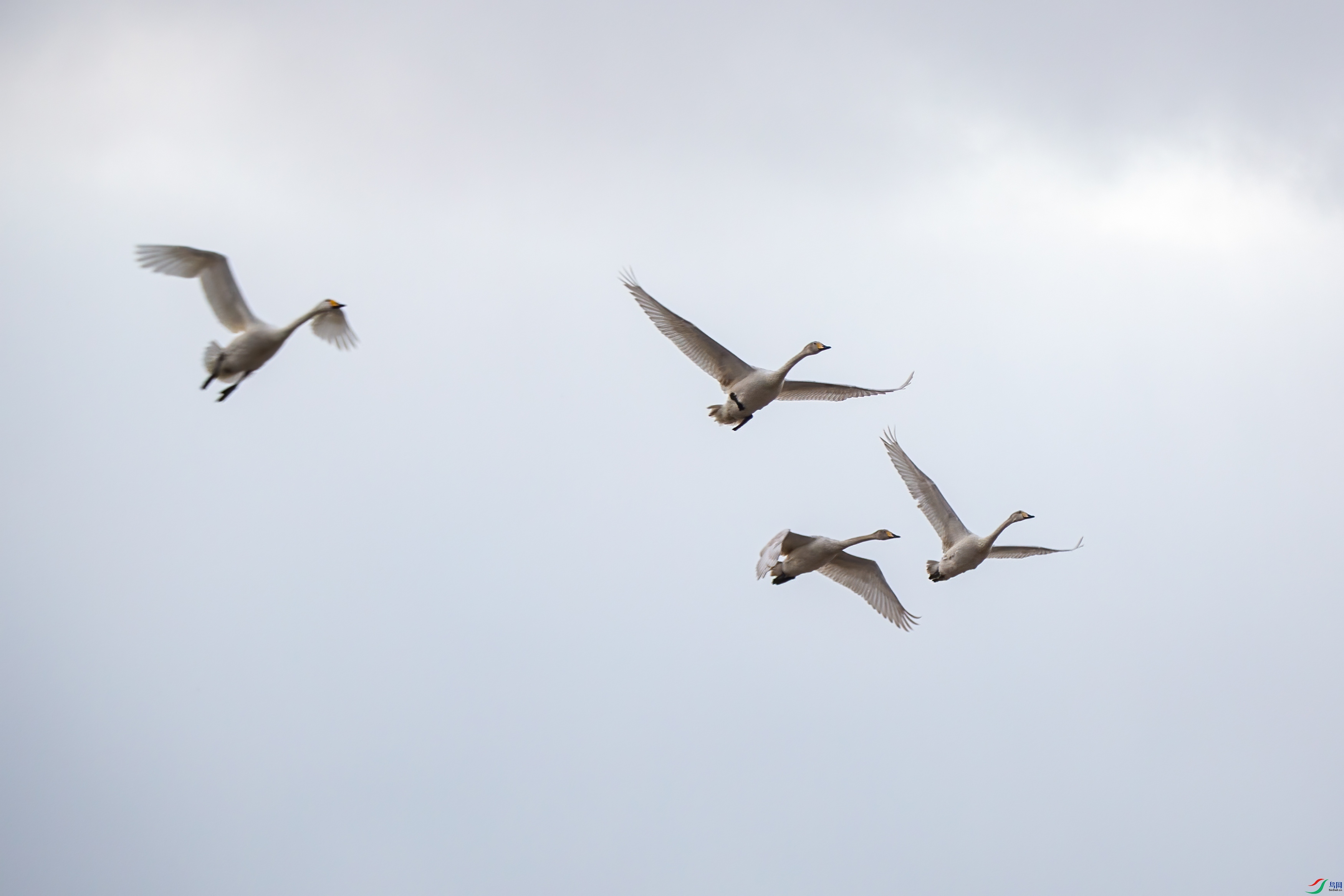 XT5A6711�Ĵ�26-2-1.jpg