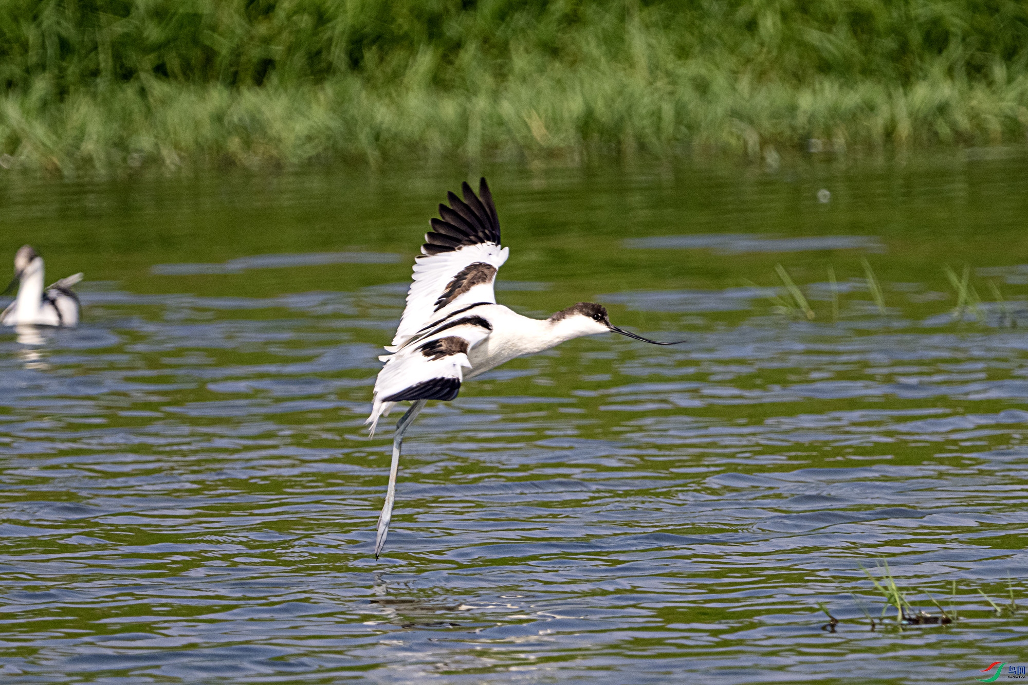 DSC_7908.jpg