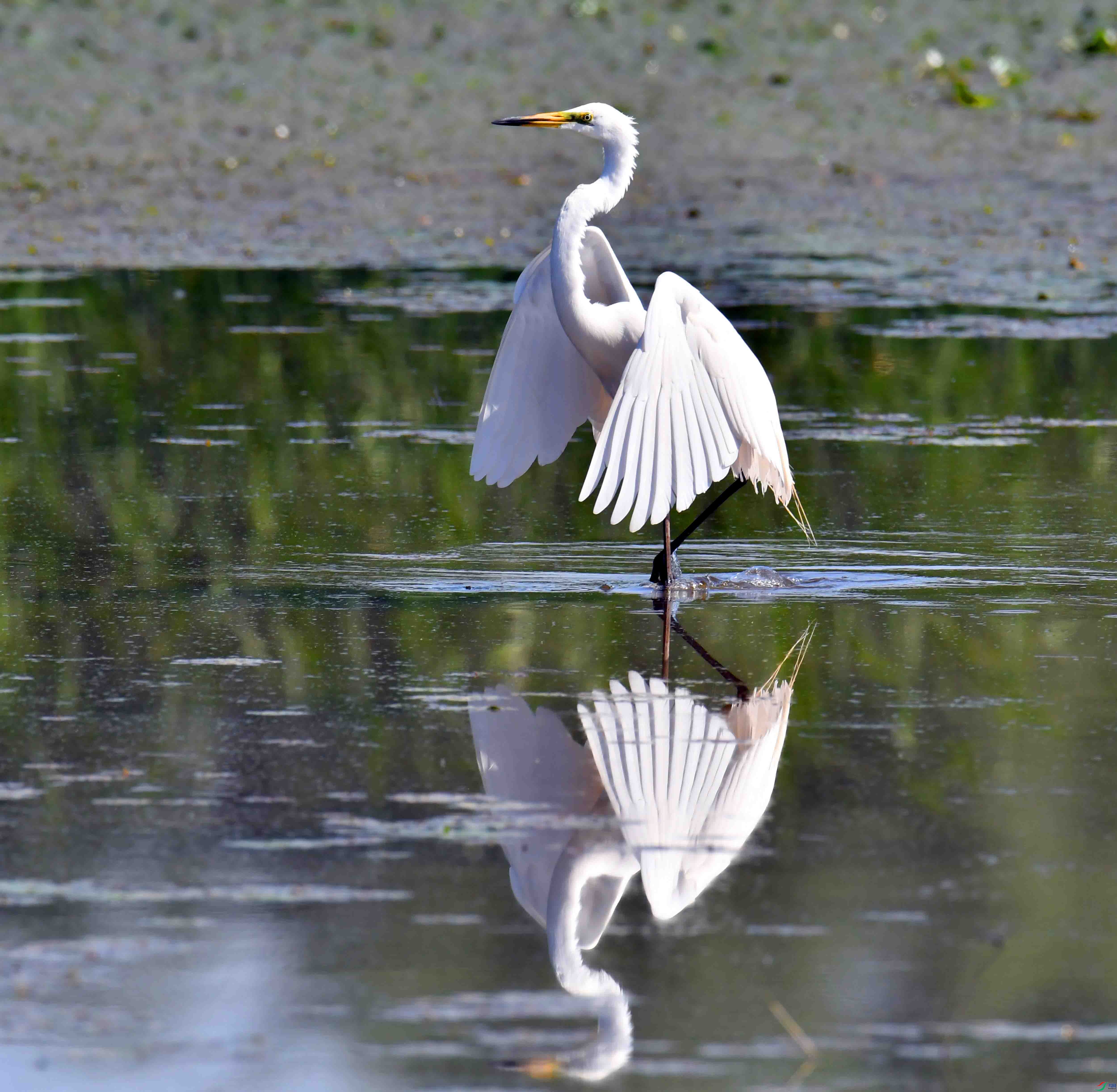 DSC_6974.JPG