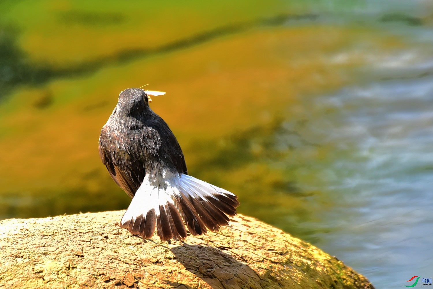 DSC_7518.JPG