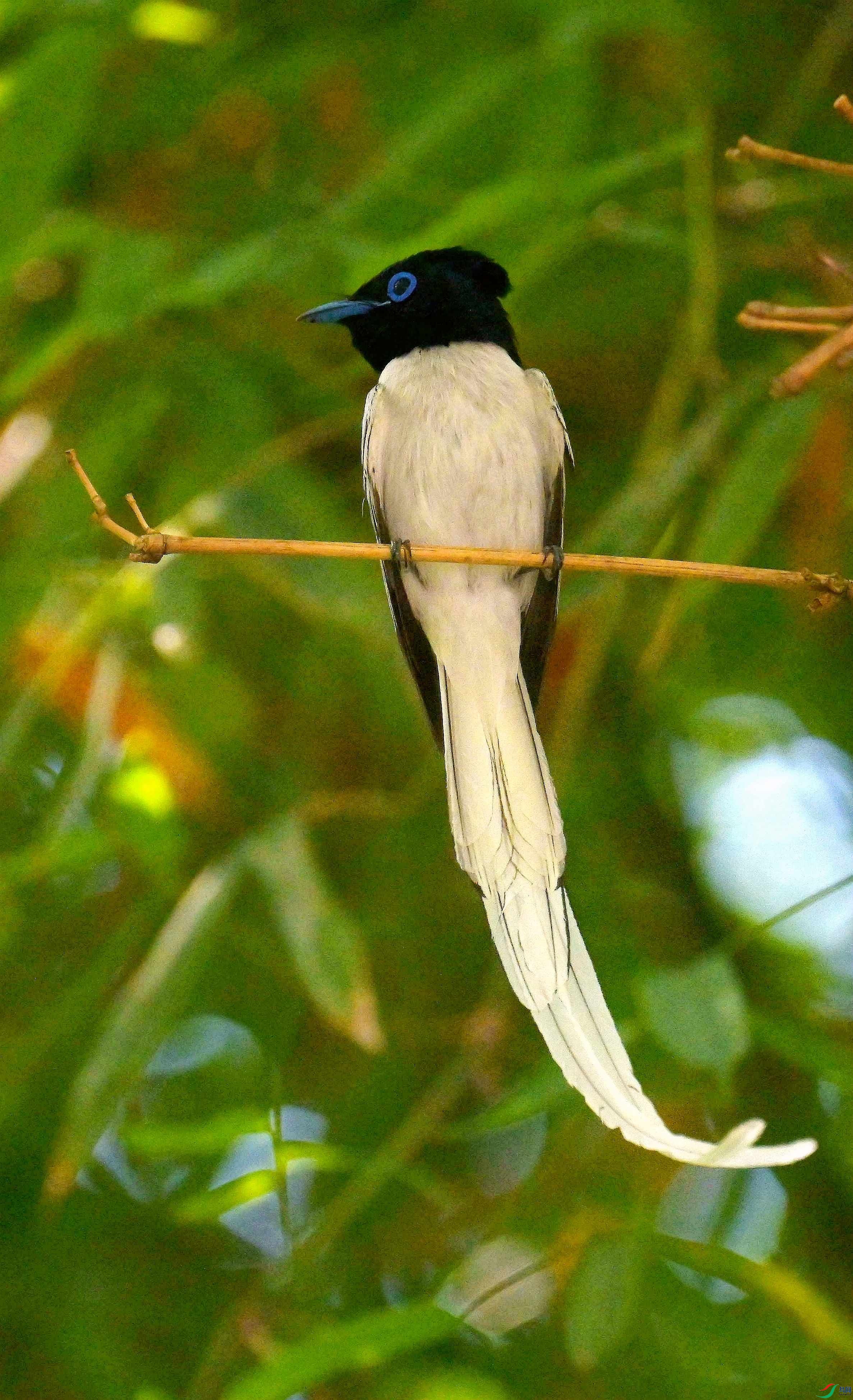 DSC_4959.jpg