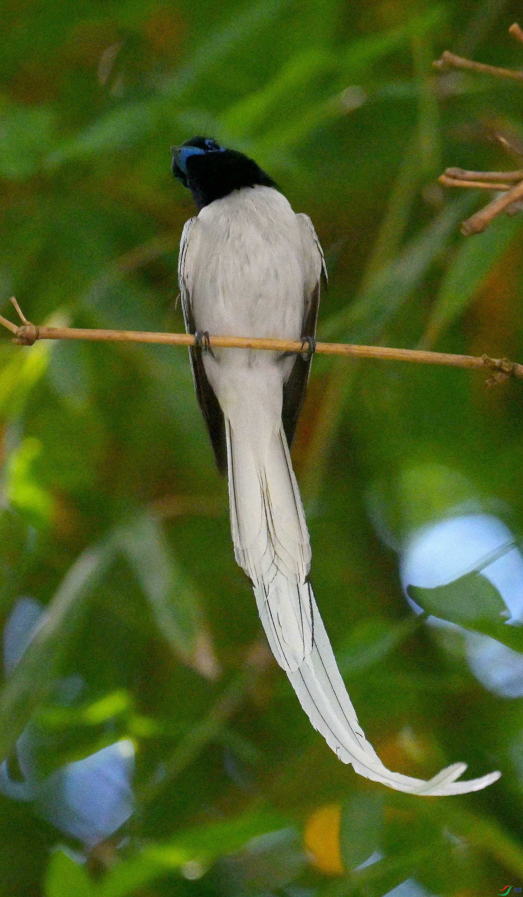 DSC_4918.jpg