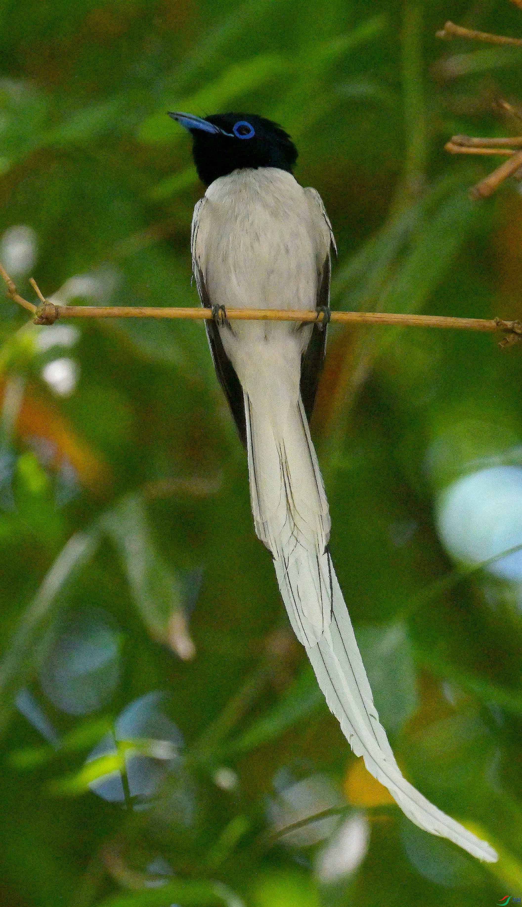 DSC_4979.jpg
