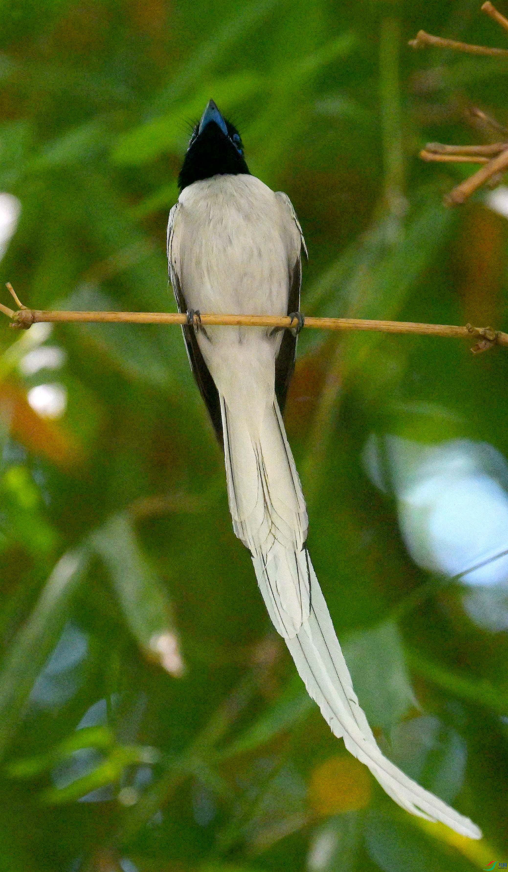 DSC_4969.jpg