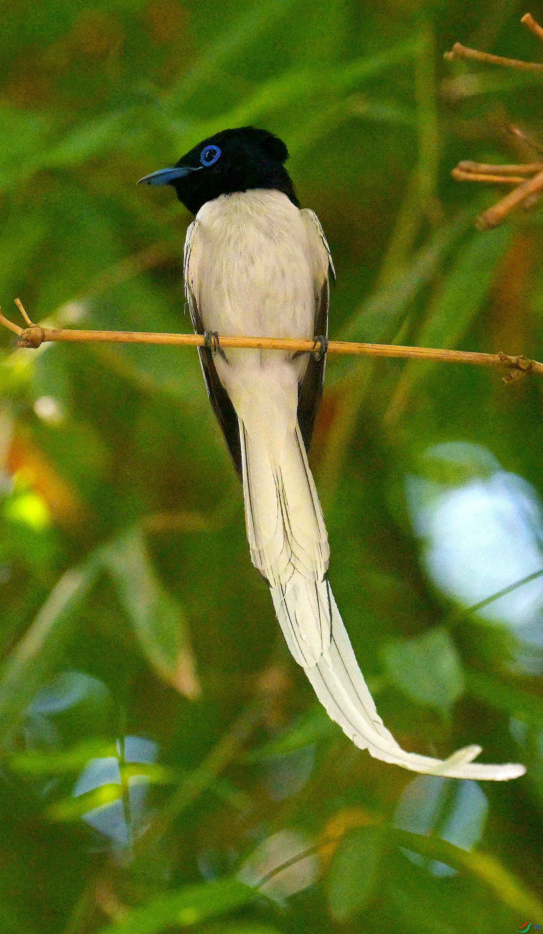 DSC_4960.jpg