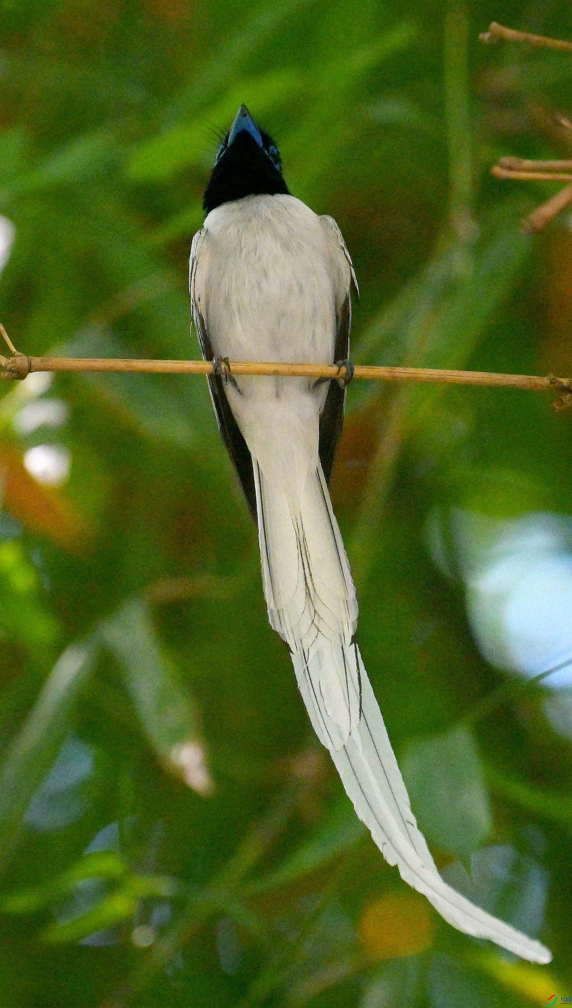 DSC_4970.jpg