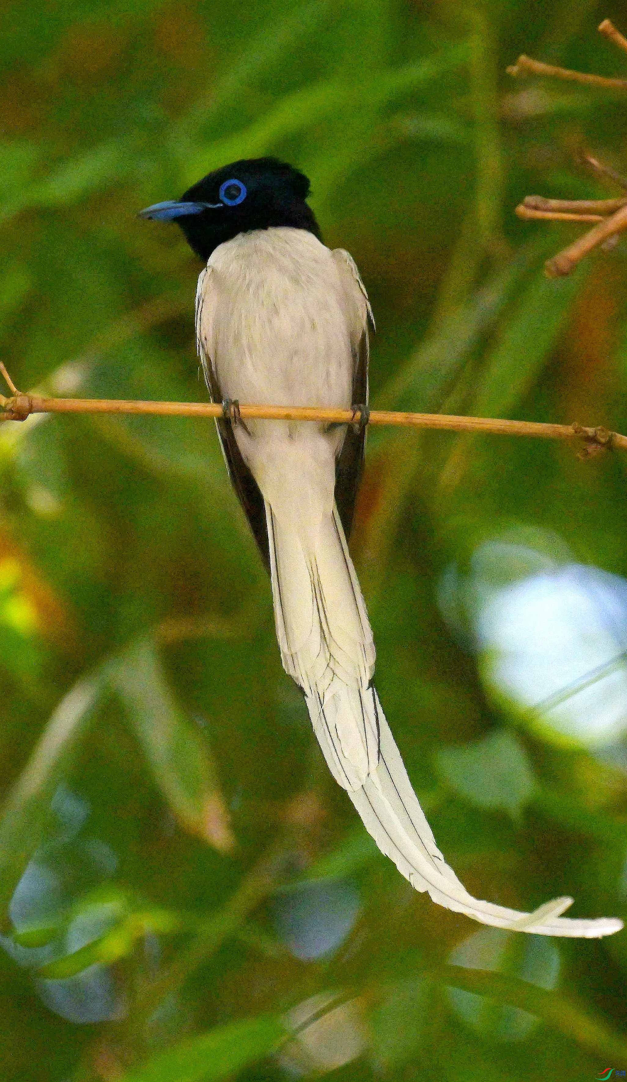 DSC_4966.jpg