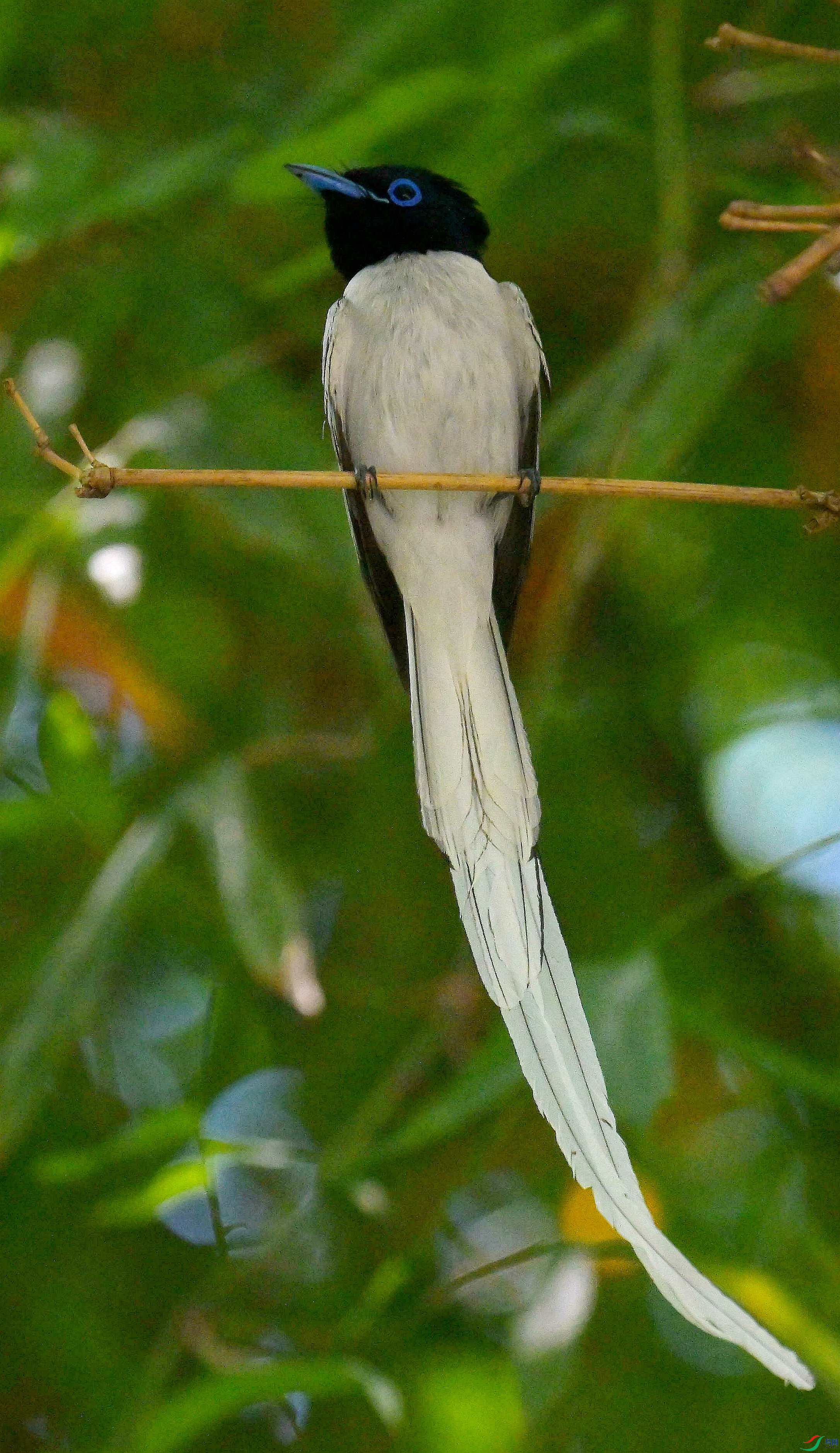 DSC_4977.jpg