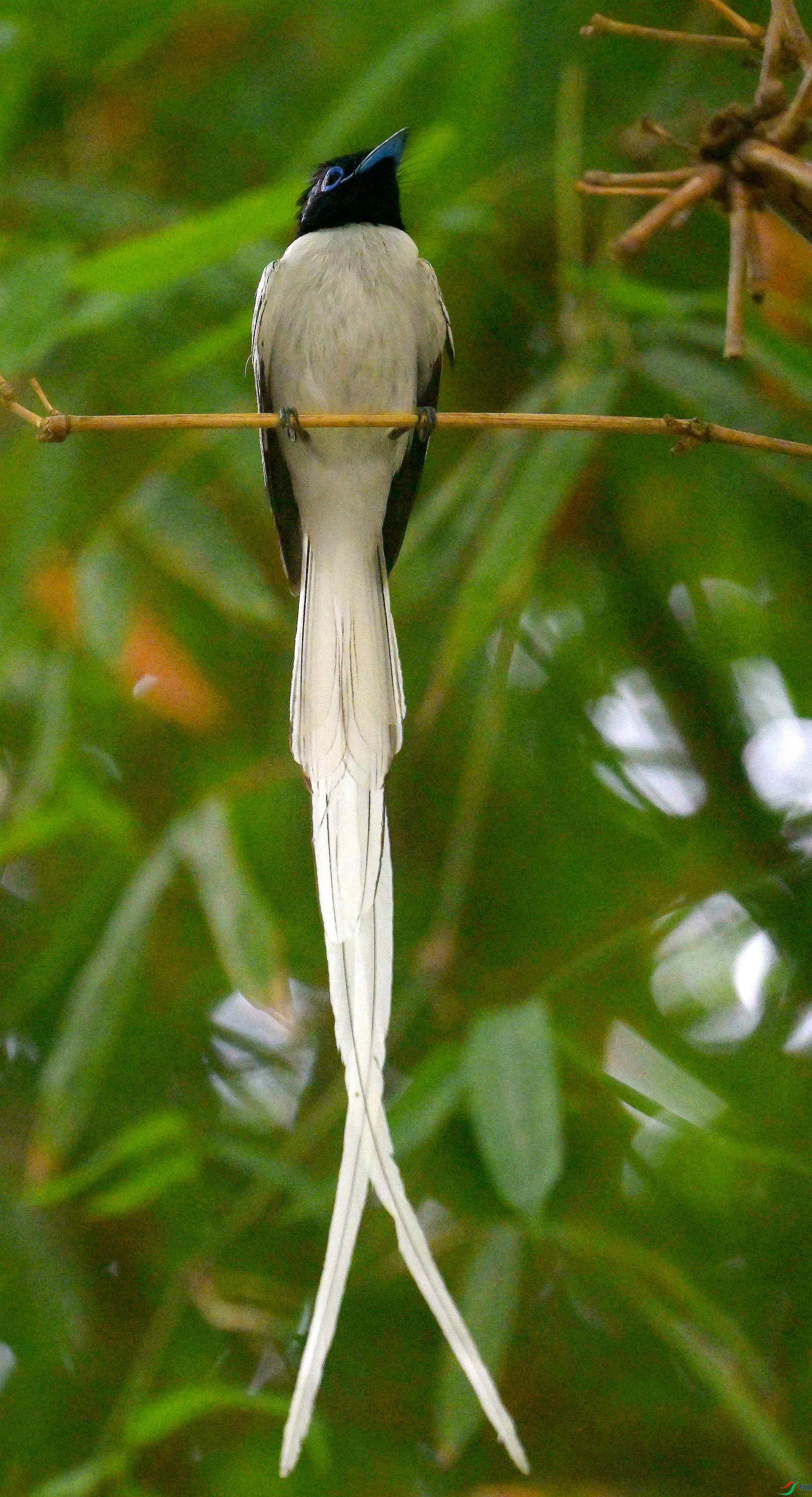 DSC_4054.jpg