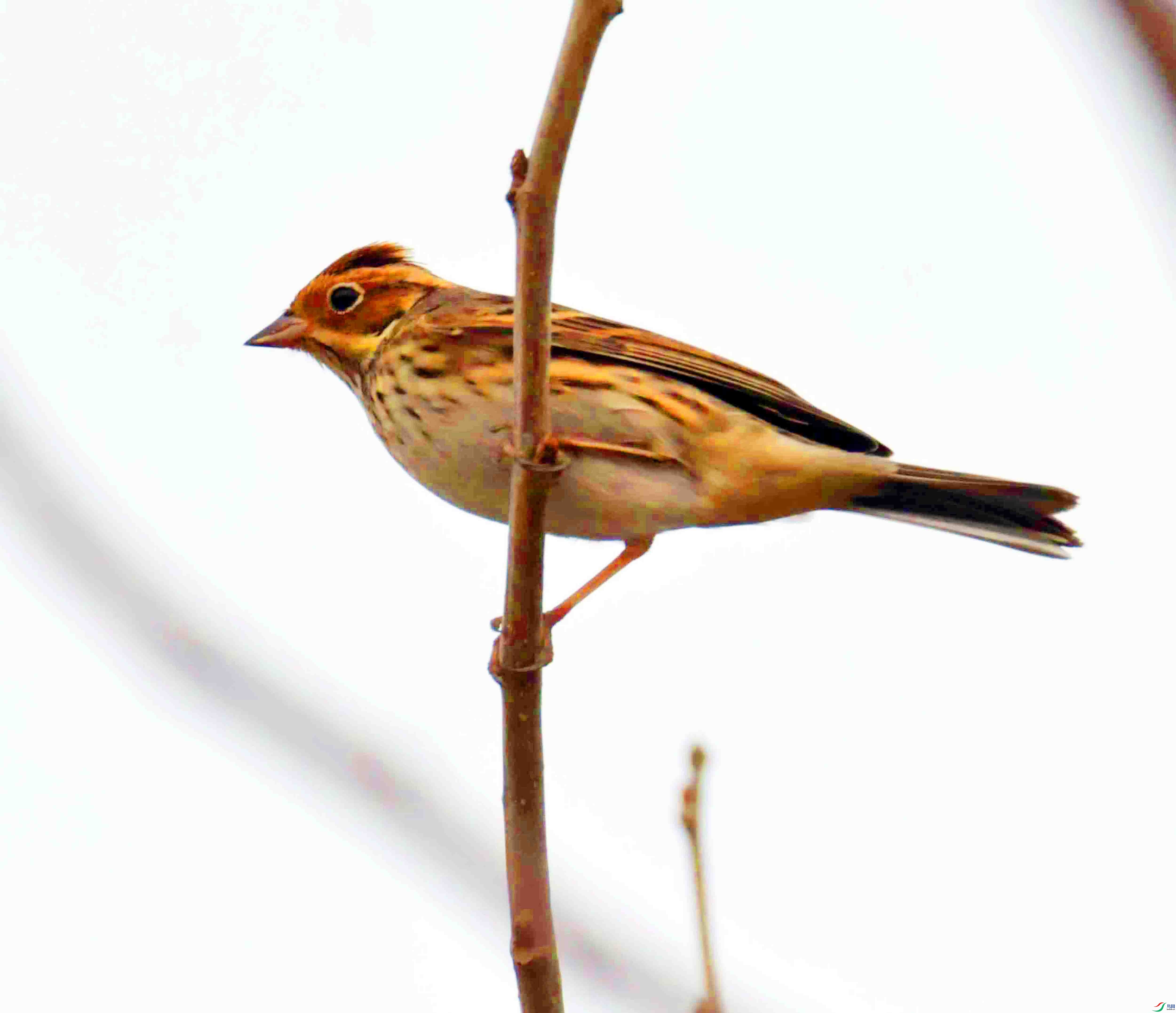 DSC_8577.JPG