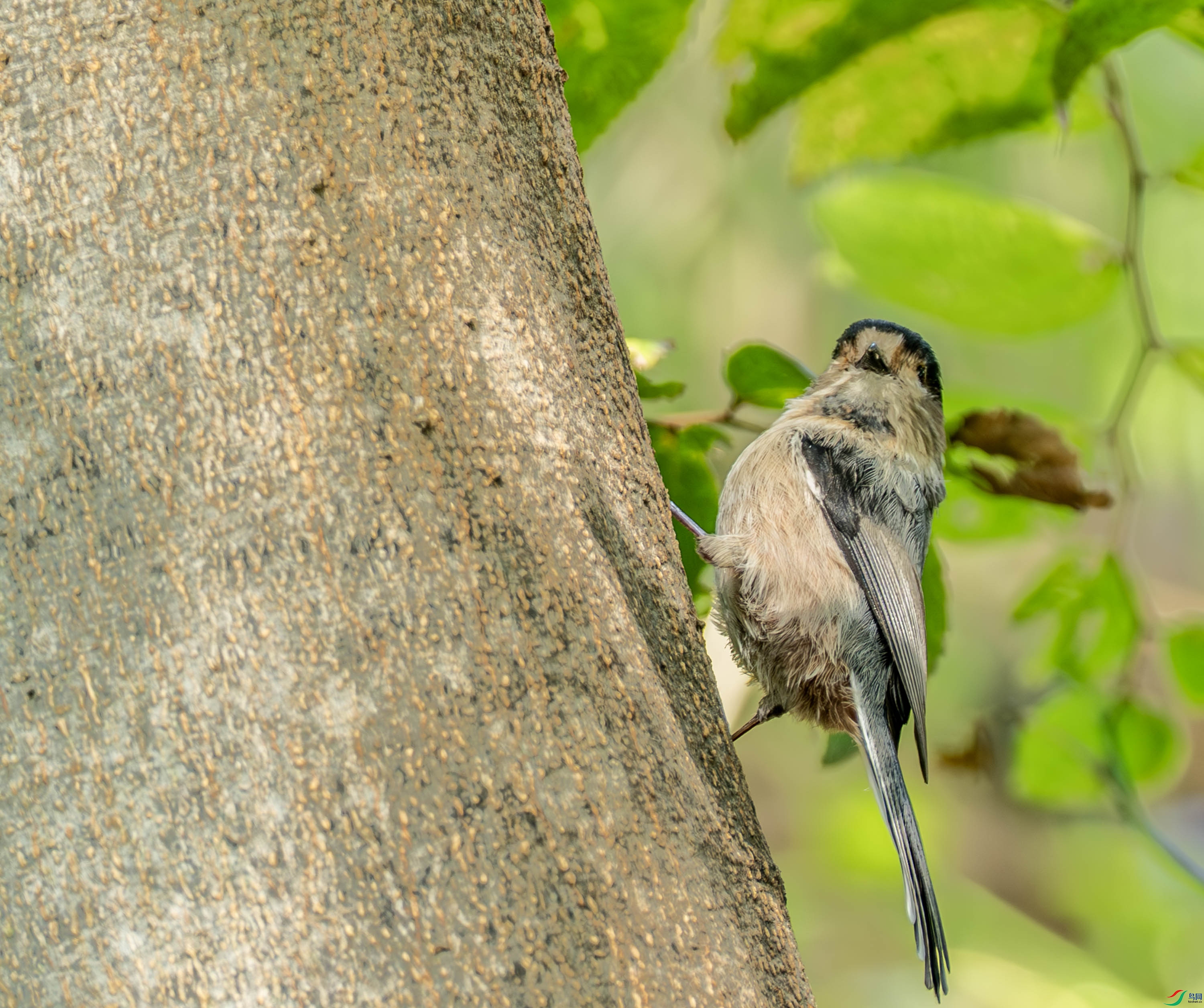 ������βɽȸ -1-31.jpg