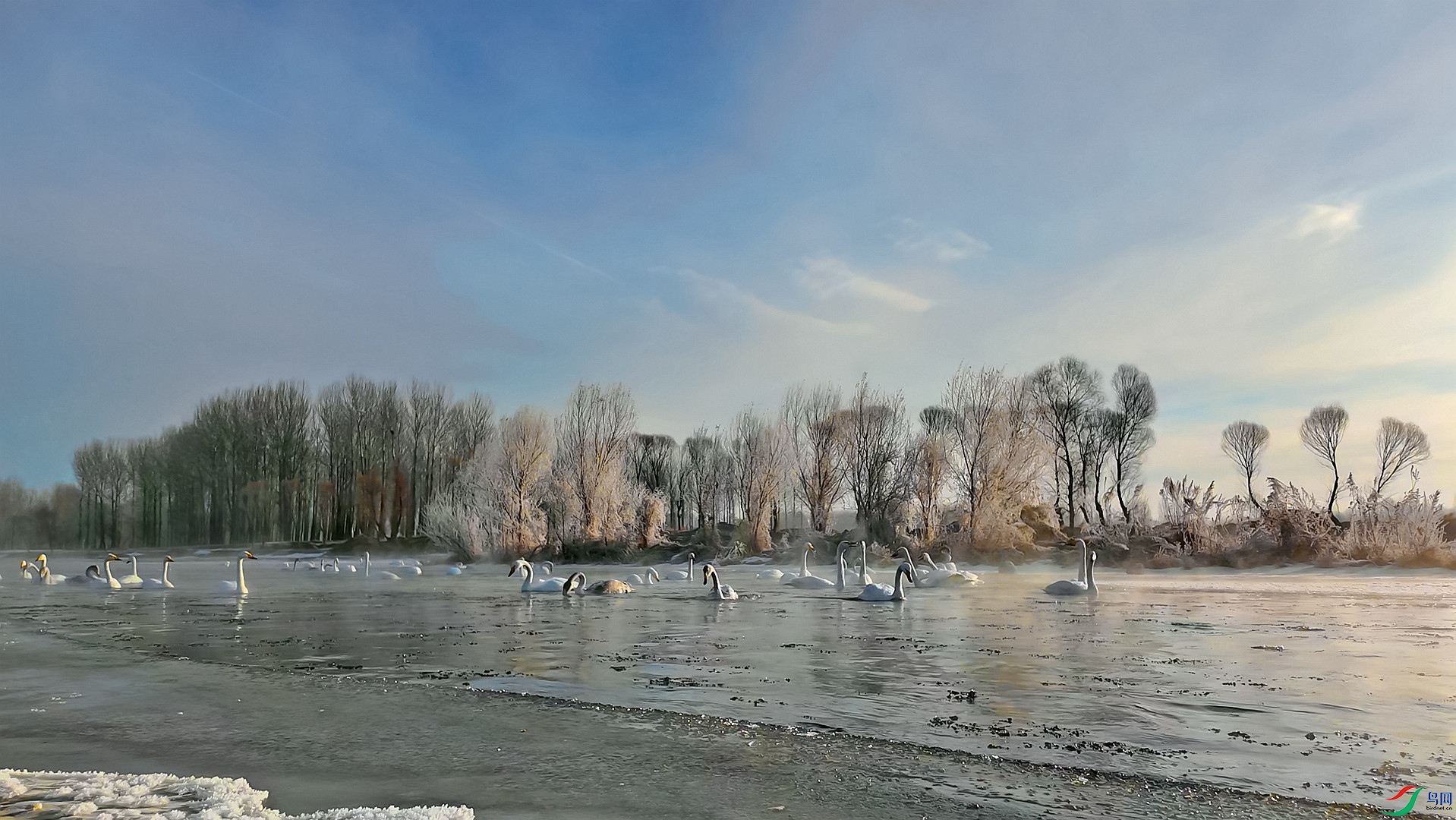 DJI_21550131134124_0016_D.00_01_41_02.Still001_����.jpg
