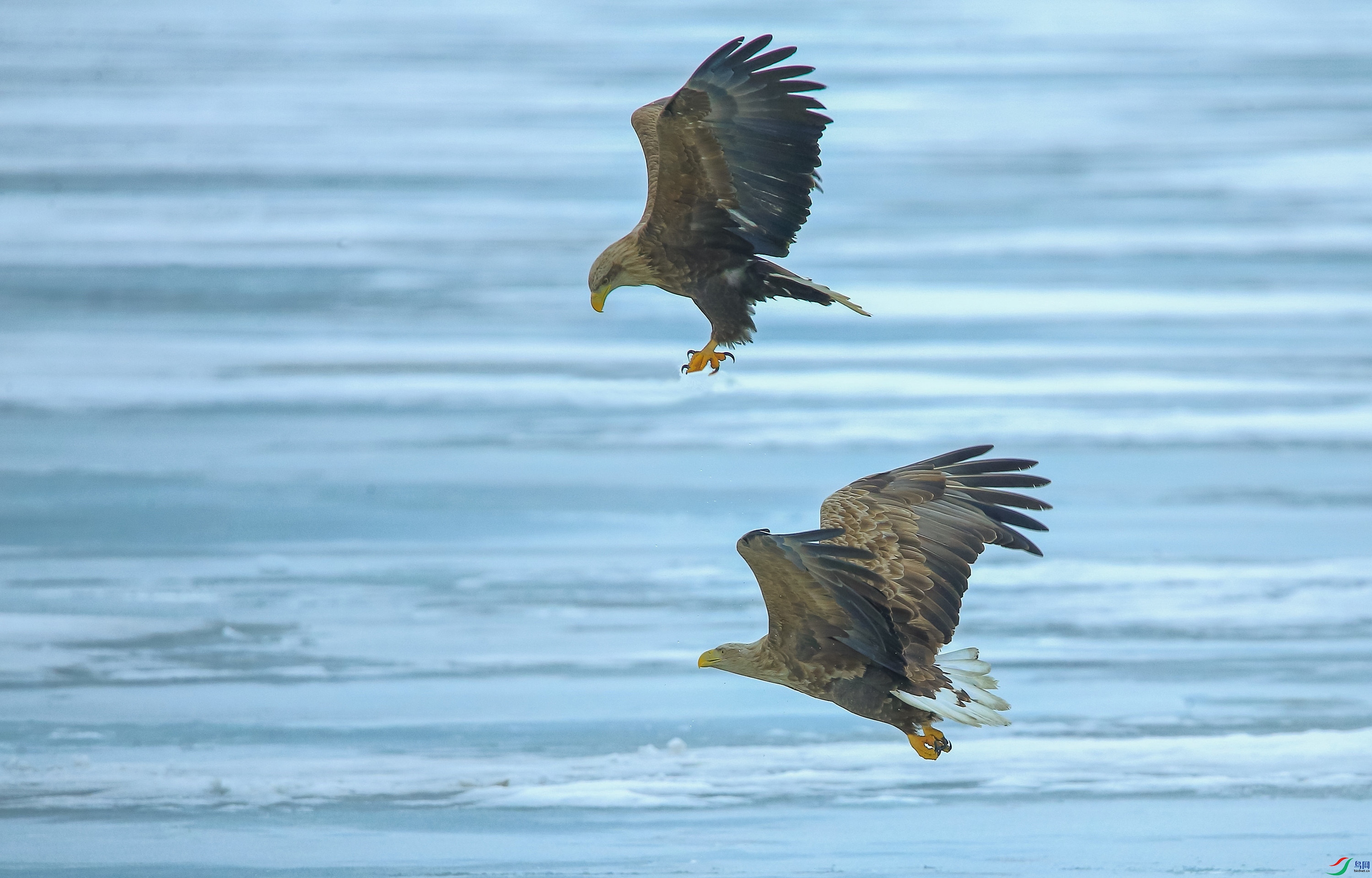 AM6Y0083_���� ����_����.jpg