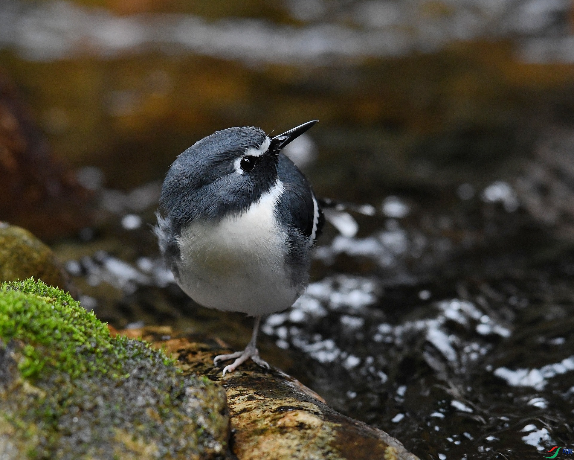 DSC_4480.jpg