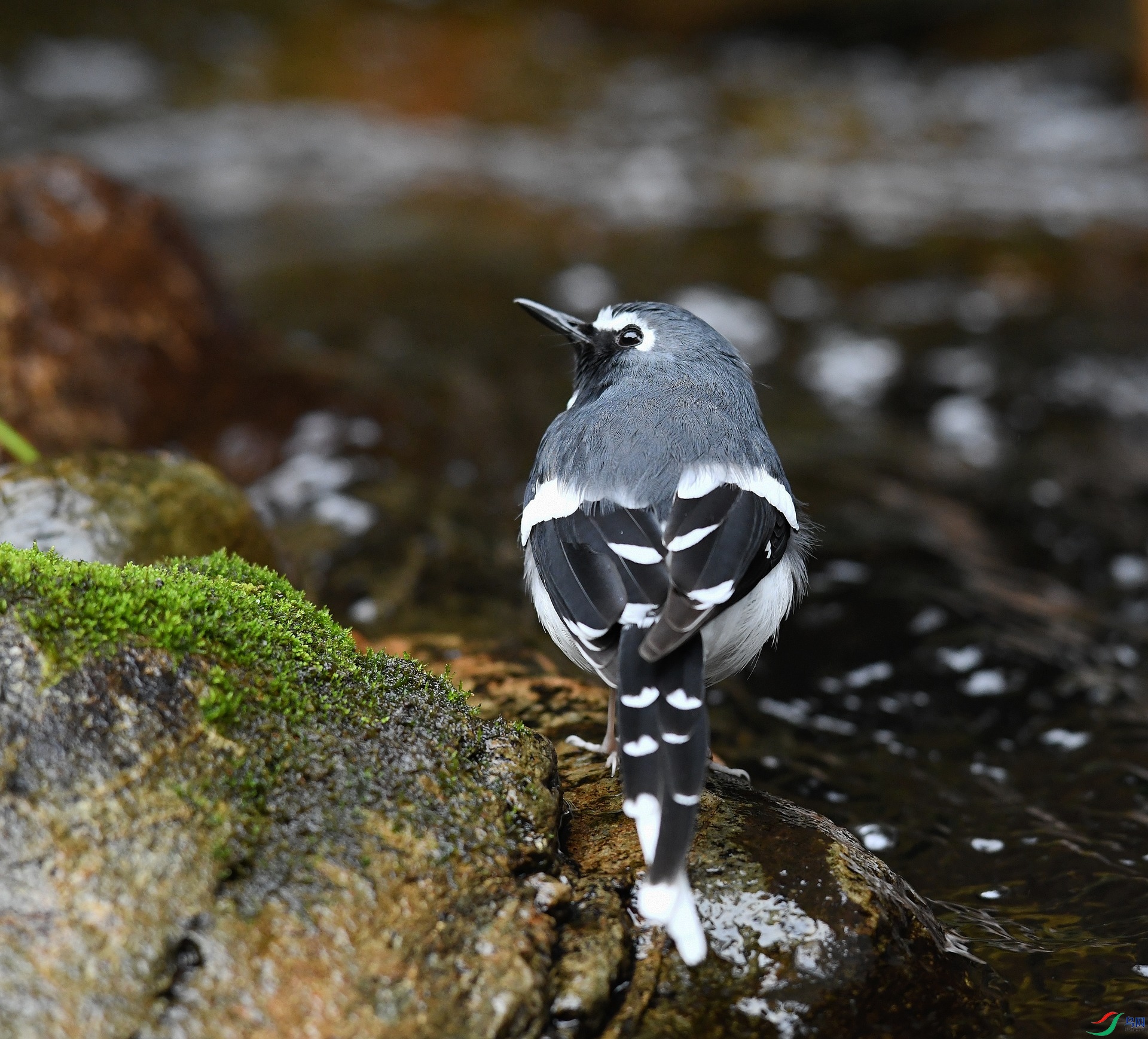 DSC_4459.jpg