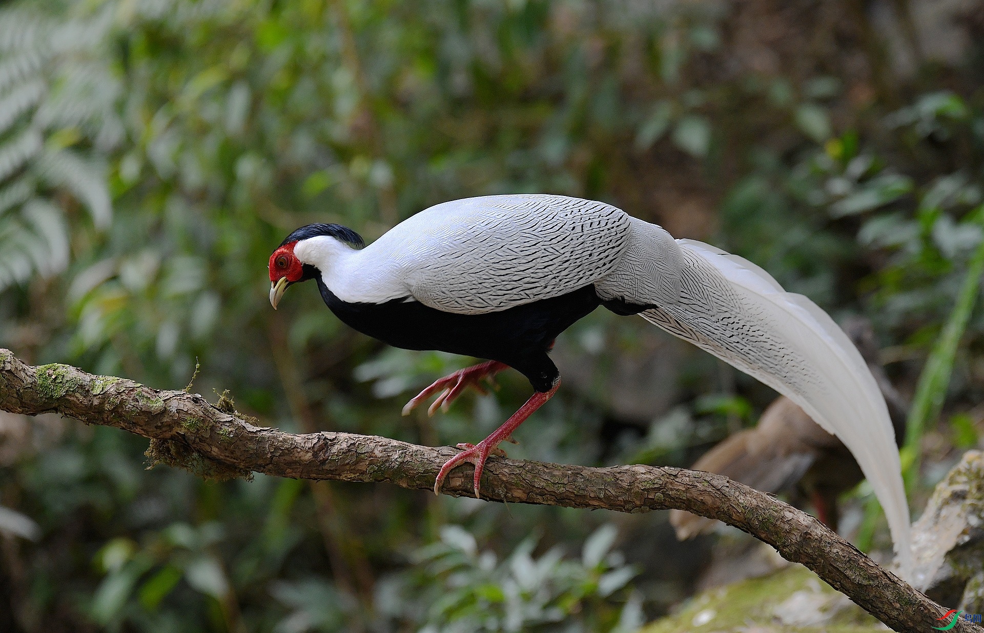 DSC_6012.jpg