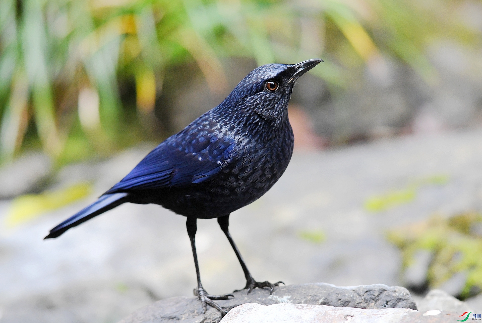 DSC_8355.jpg