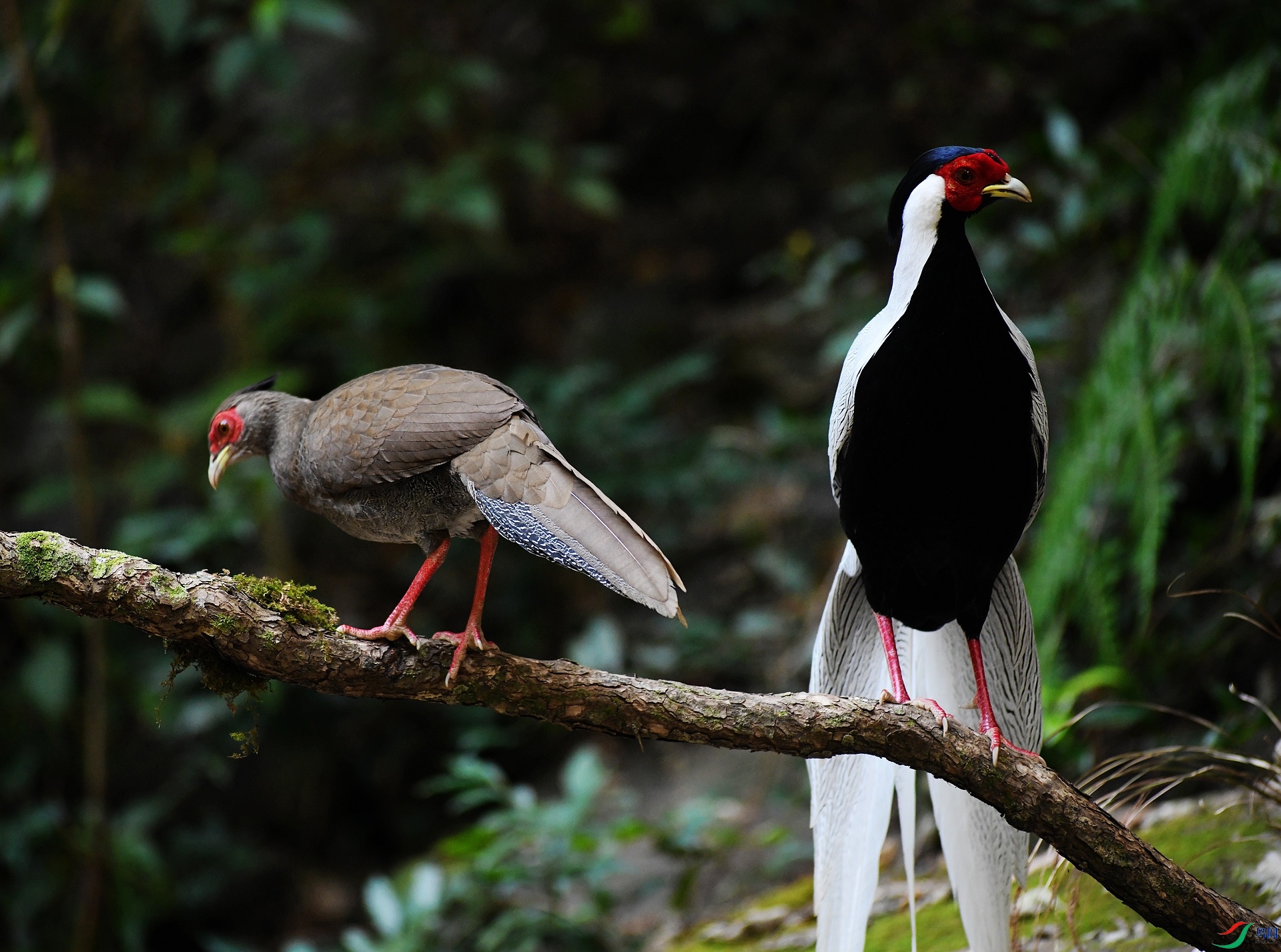 DSC_8307.jpg