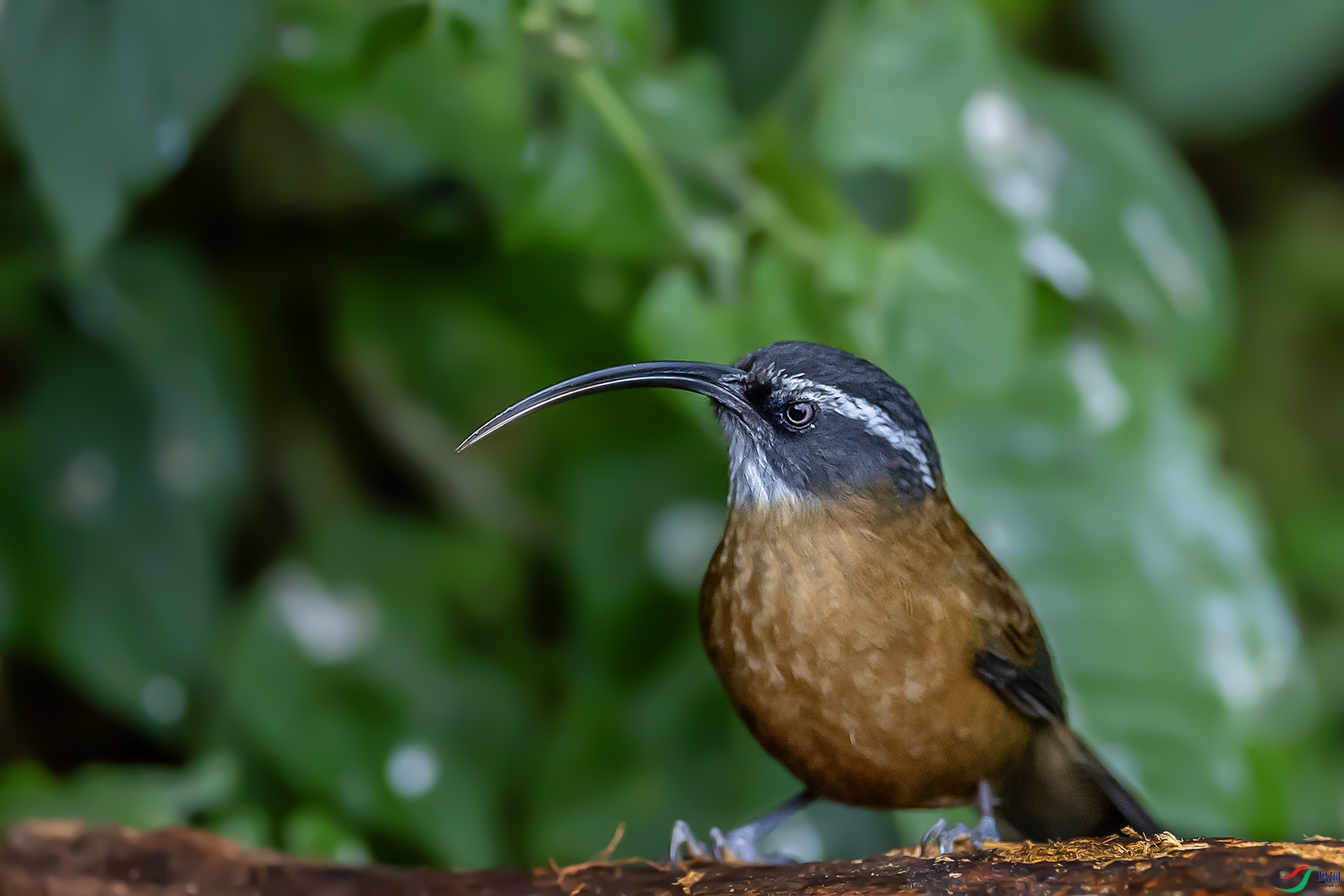 0F7A6260 ����.jpg