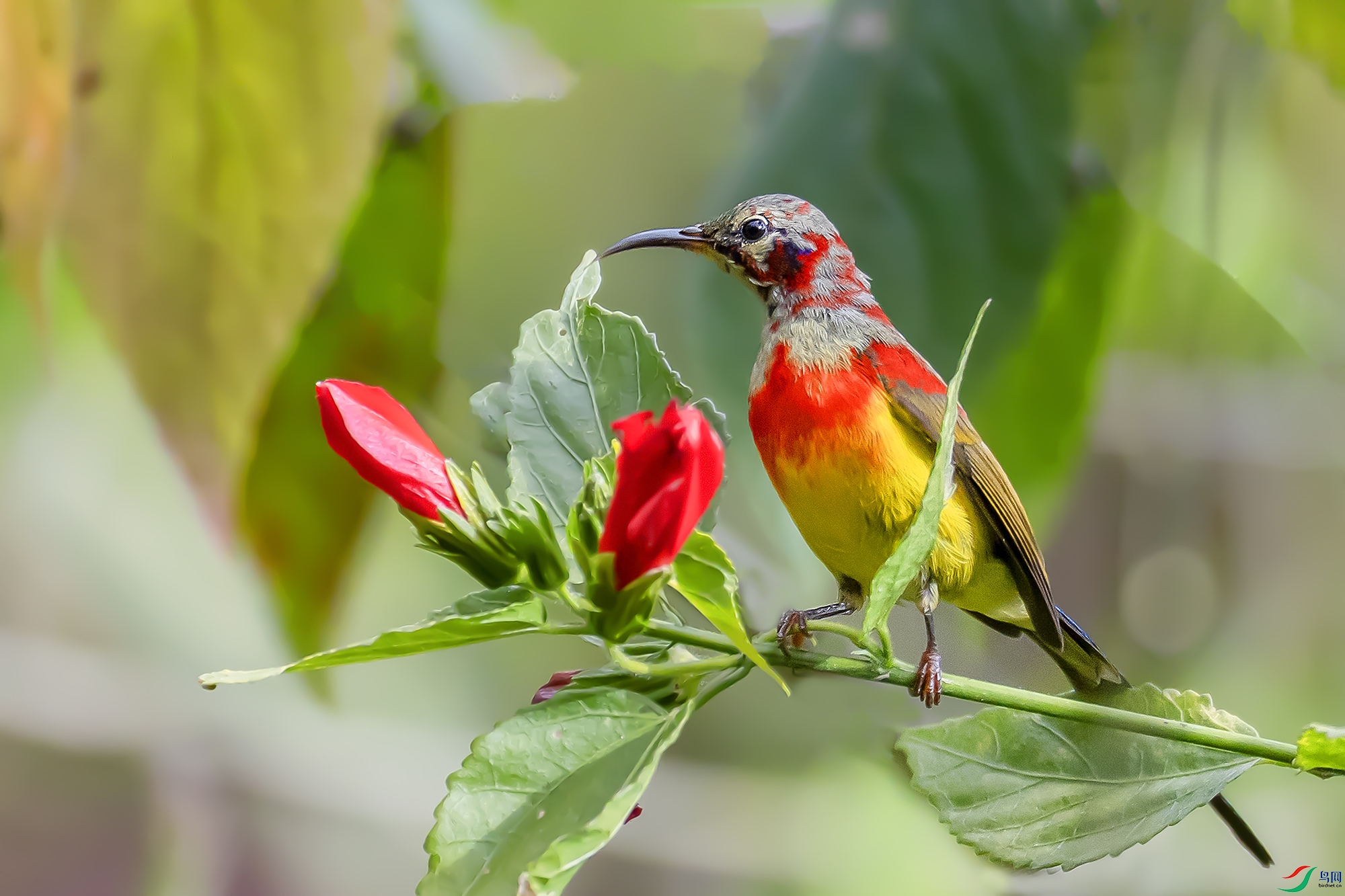 0F7A6932 ����.jpg