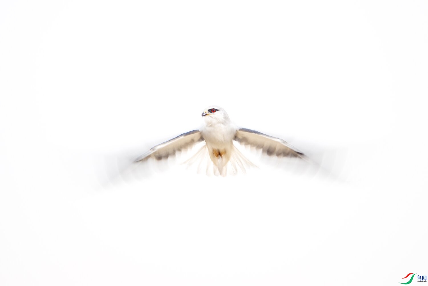 _DSC6874-����ǿ-NR ����1.jpg