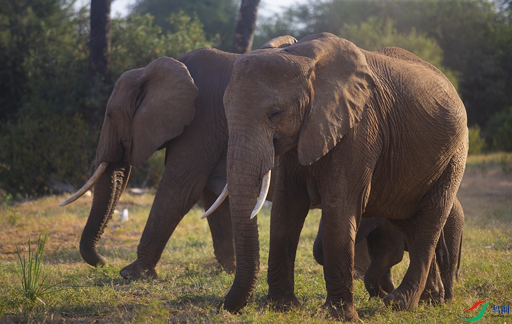 ���޴��� (28).jpg