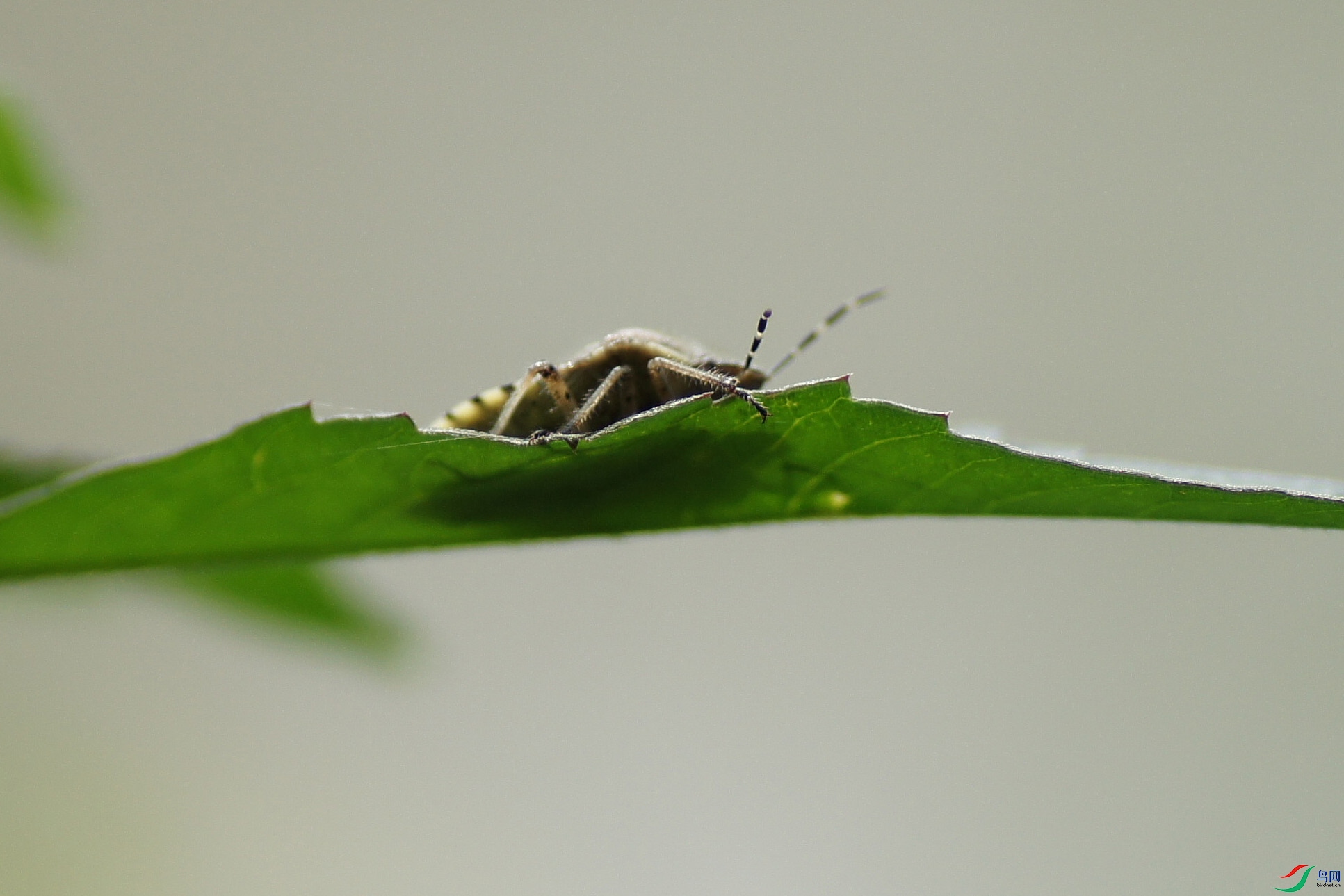 DSC00210.JPG
