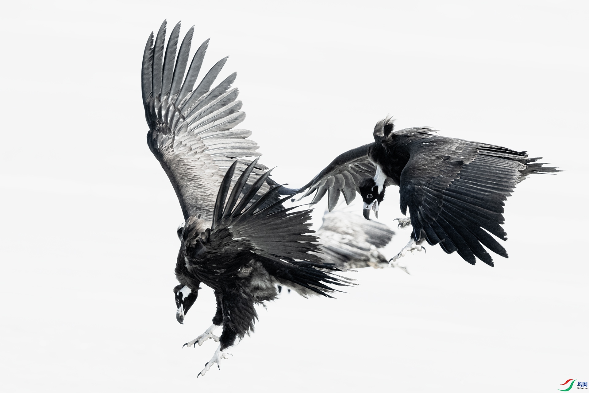 085-��ˮīͺ�ա���Ȼ�ķ� ��ͷ����������.jpg